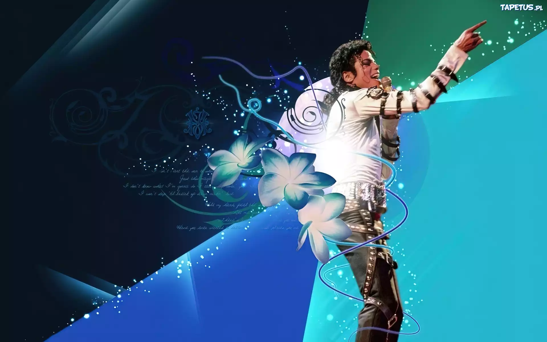 Michael Jackson, Grafika, Koncert