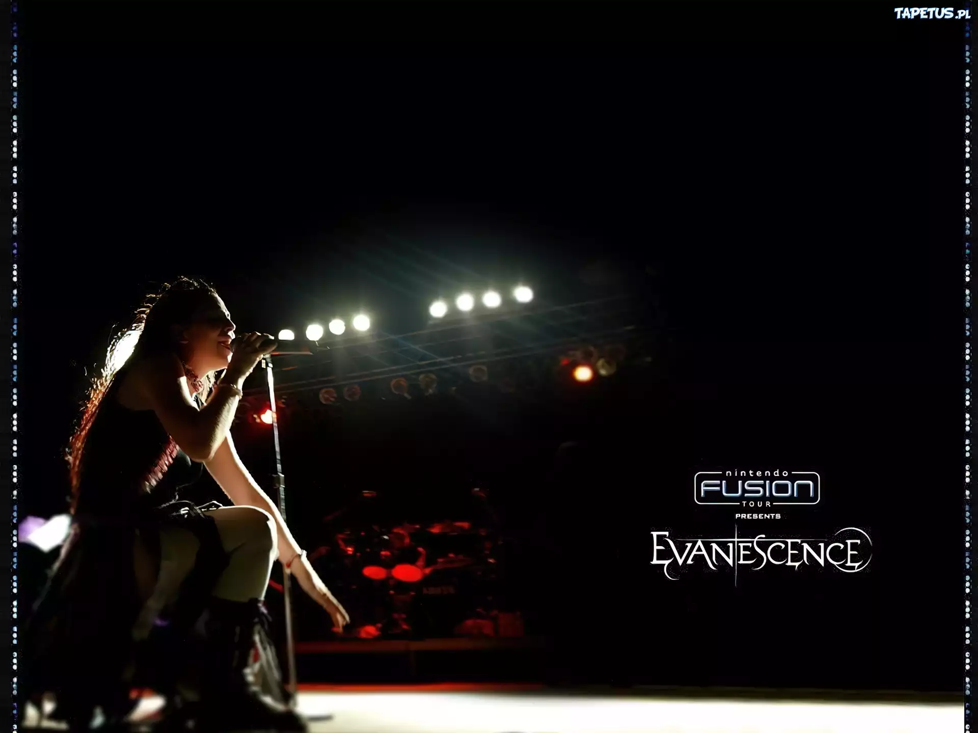 Evanescence,koncert, mikrofon