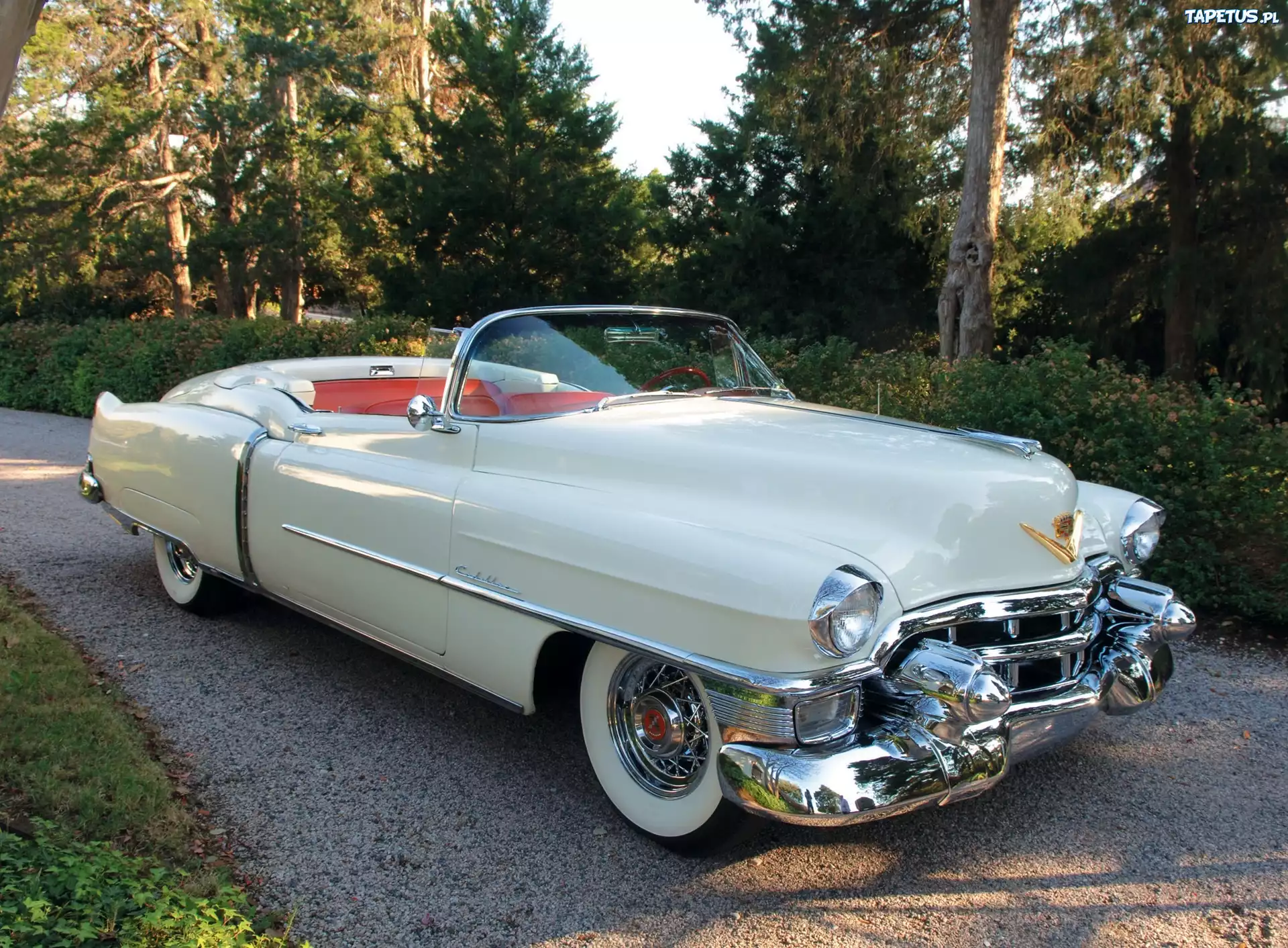 Samochód Zabytkowy, Biały, Kabriolet, Cadillac Eldorado
