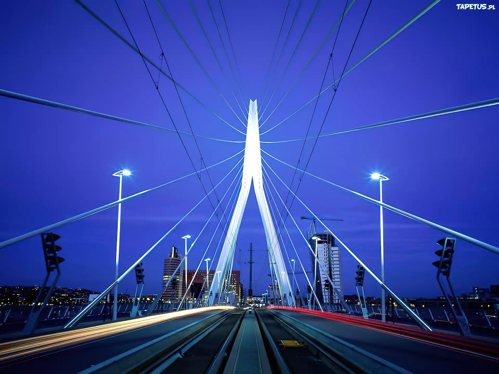 Most, Rotterdam, Holandia