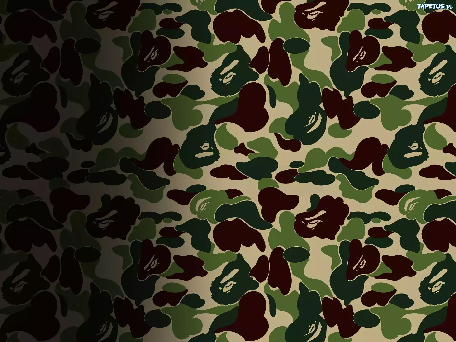 Bathing Ape, moro, małpa