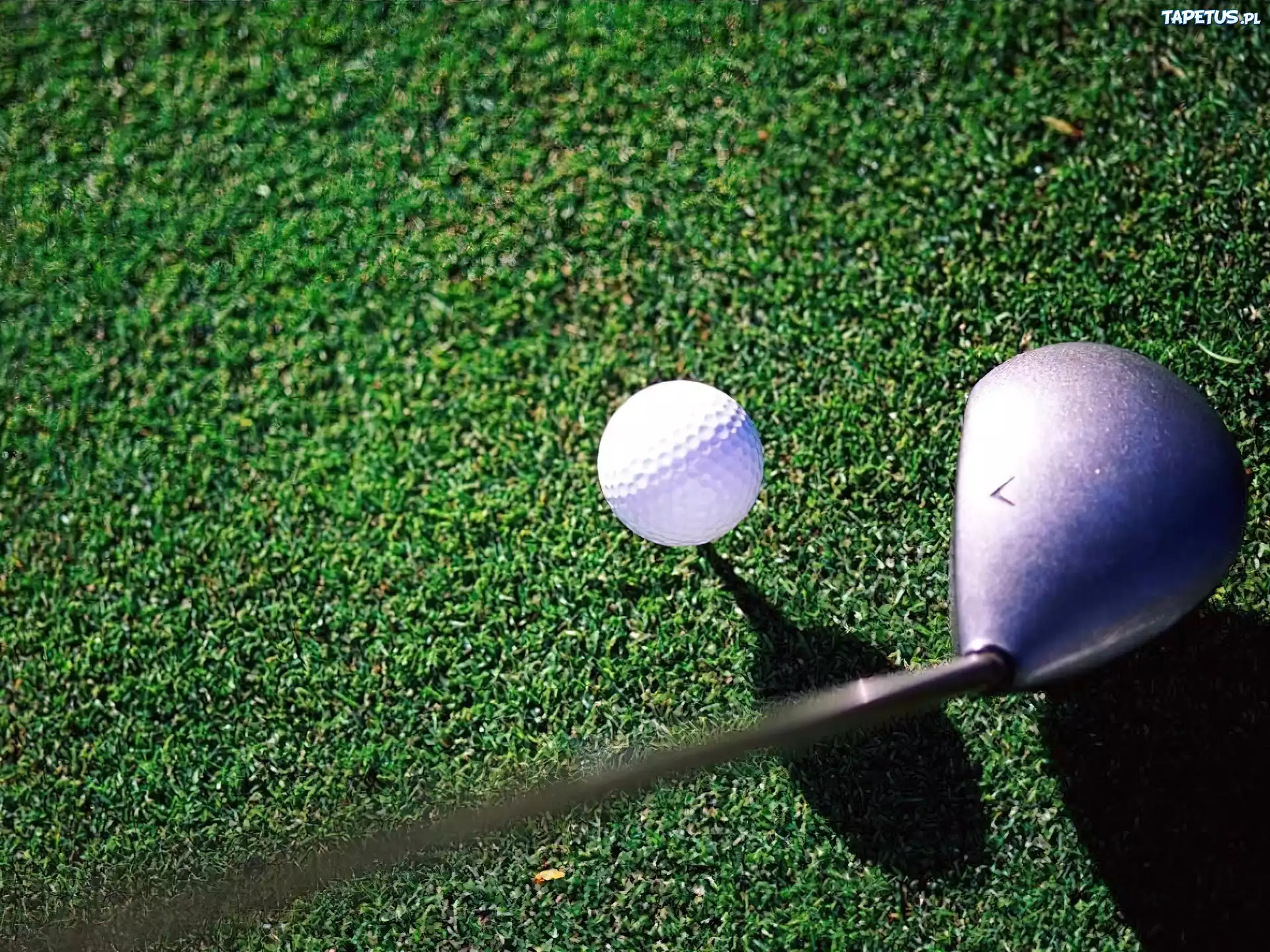 Sportowe Golf,piłka do golfa