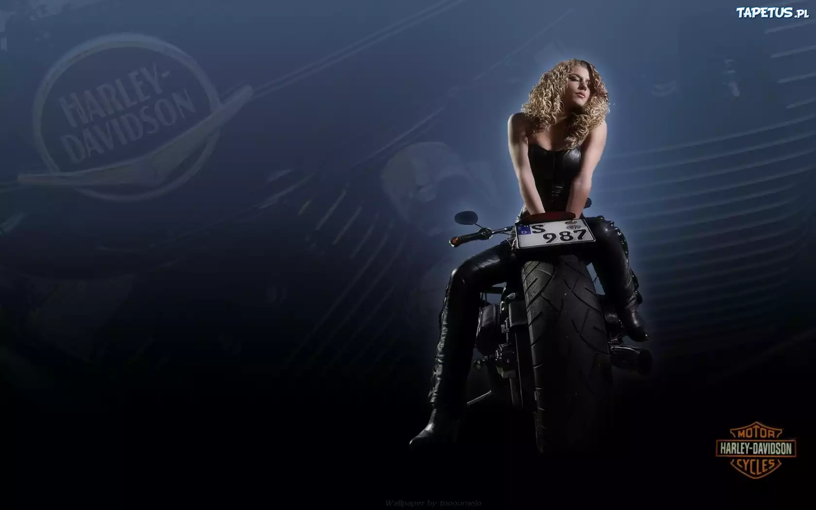 Motor, Harley-Davidson, Piękna, Blondynka