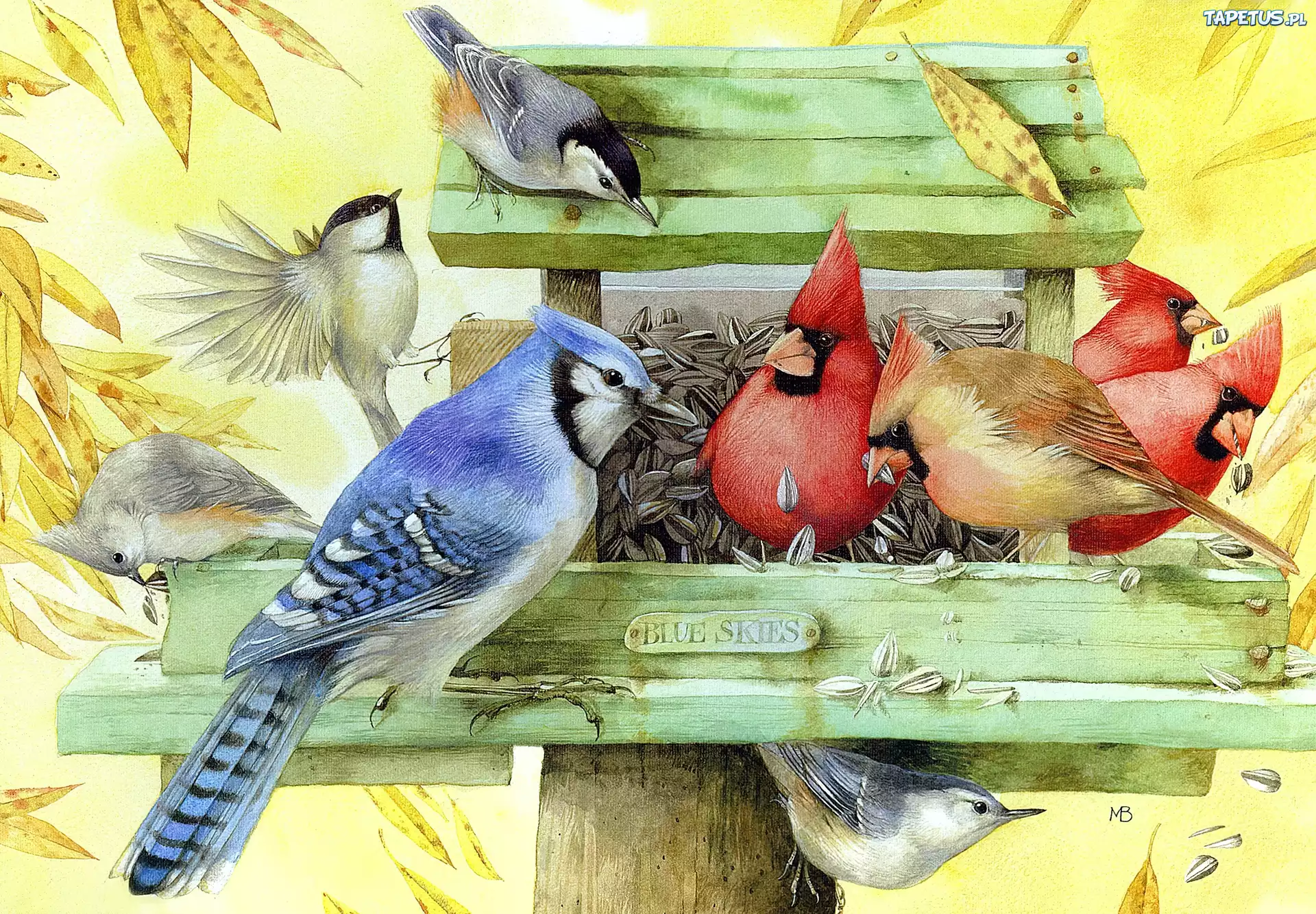 Ptaki, Kardynały, Sójka, Sikorki, Zielony, Domek