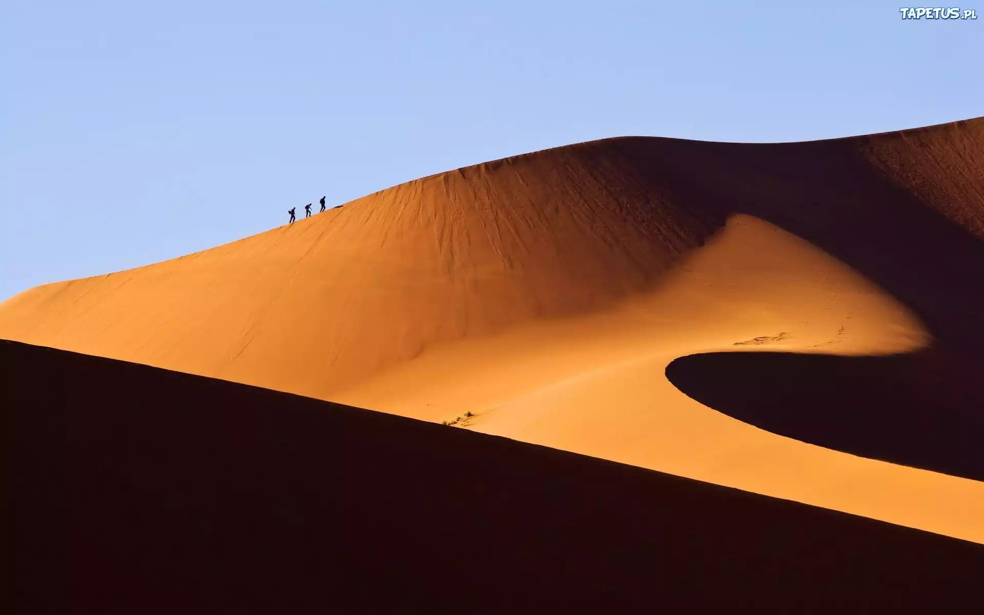 Pustynia, Namibia, Wydmy, Podróżnicy
