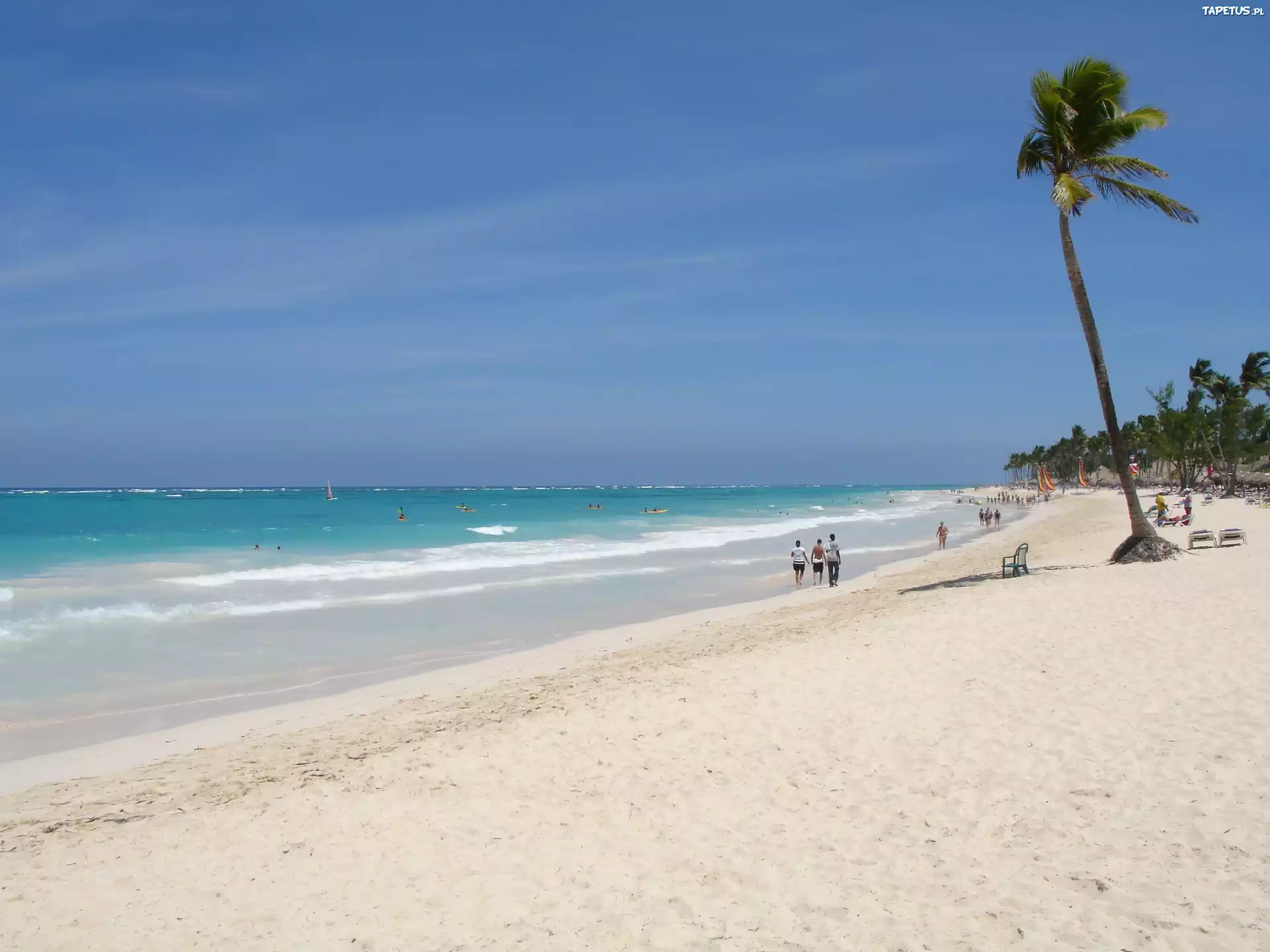 Punta Cana, Dominikana, Piasek, Woda, Palma