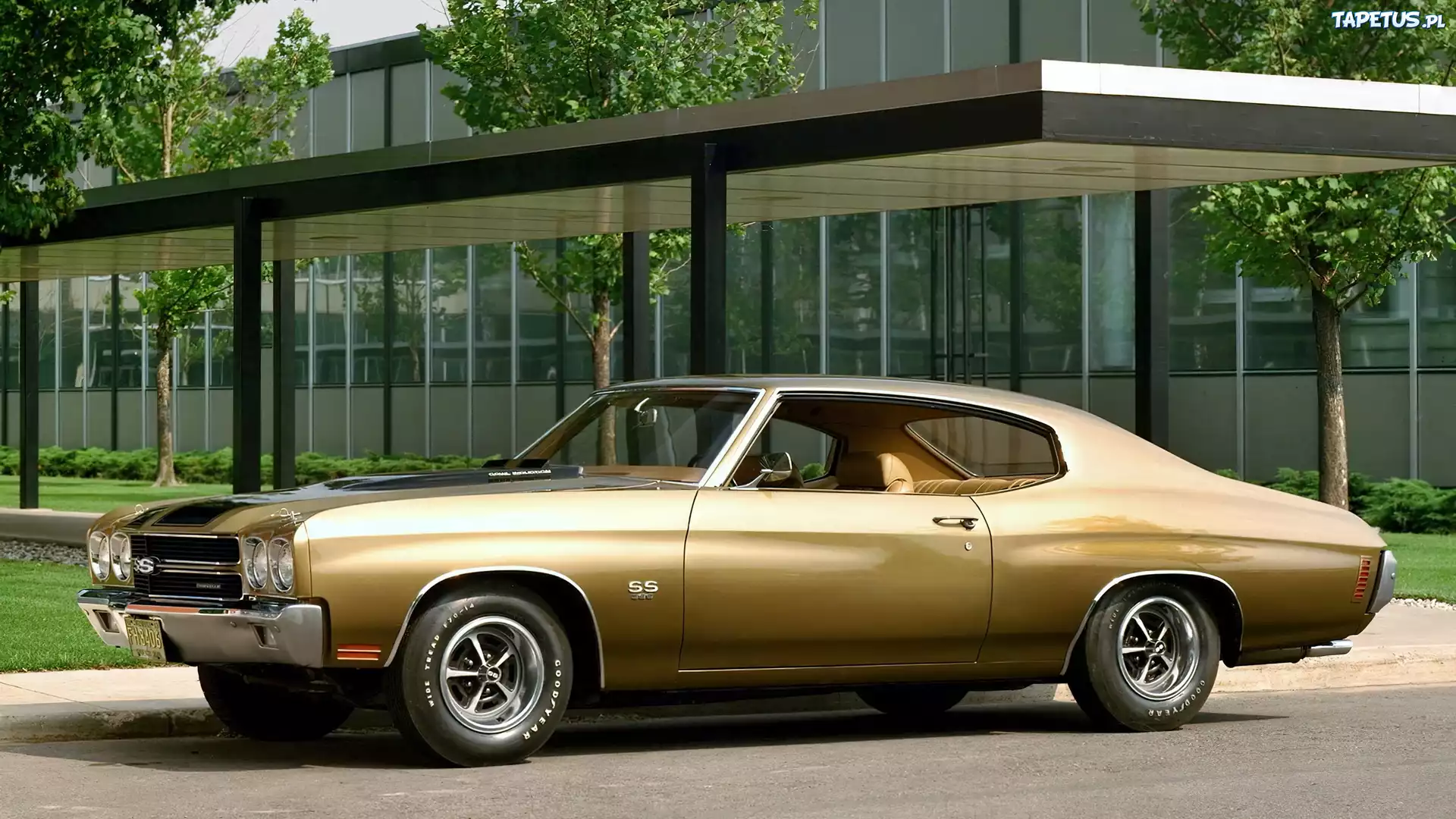 1970 Chevelle SS, Samochód, Zabytkowy