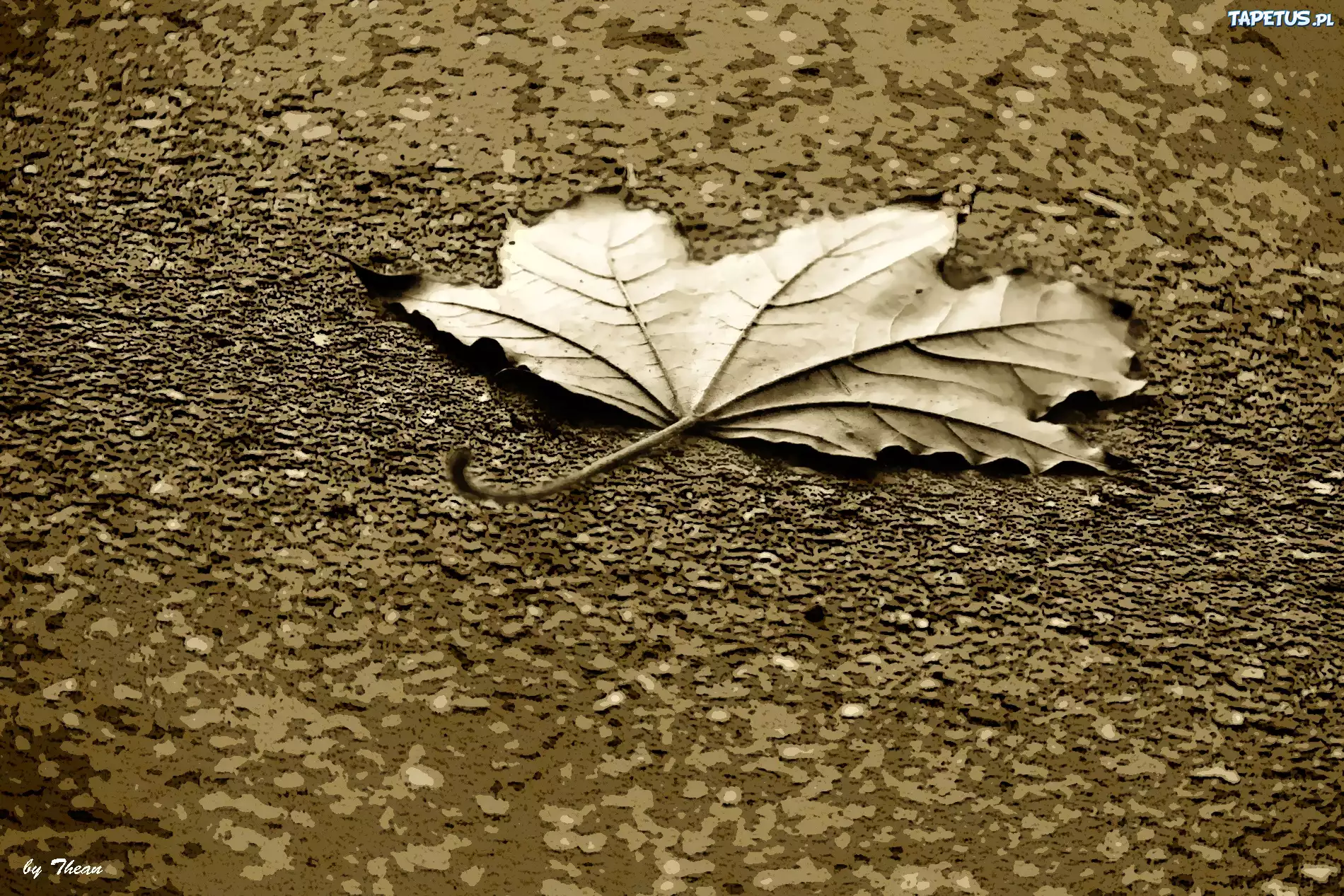 Listek, Sepia