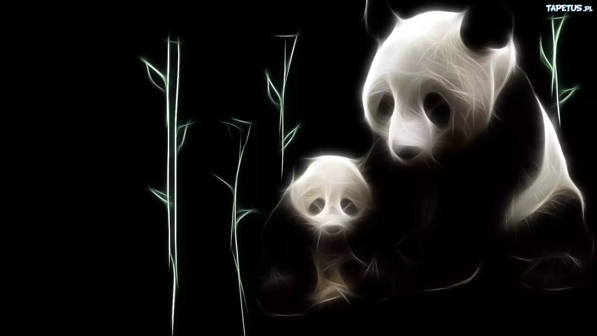 Misie, Panda, Fractalius