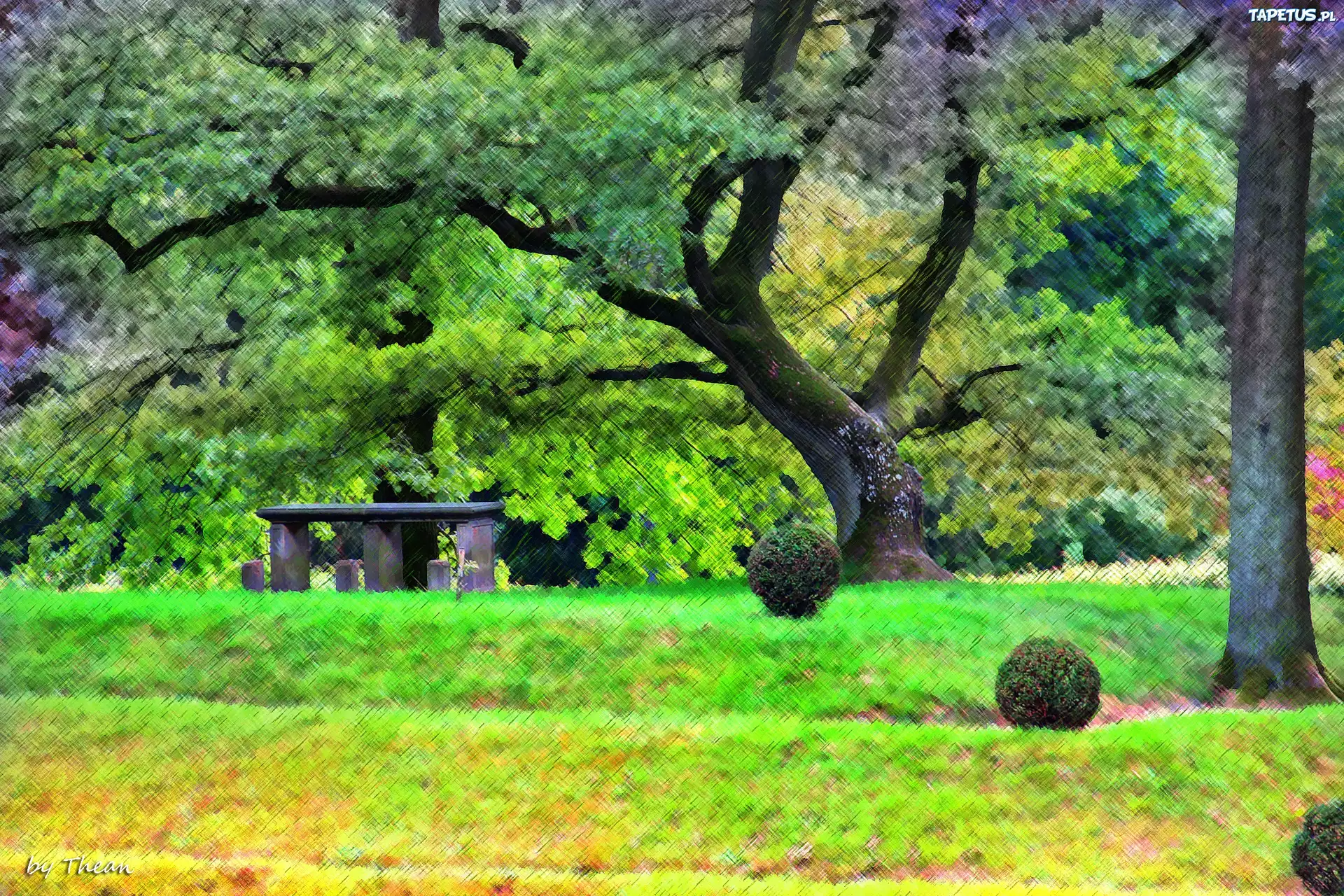 Park, Raczyńskich, Rogalin