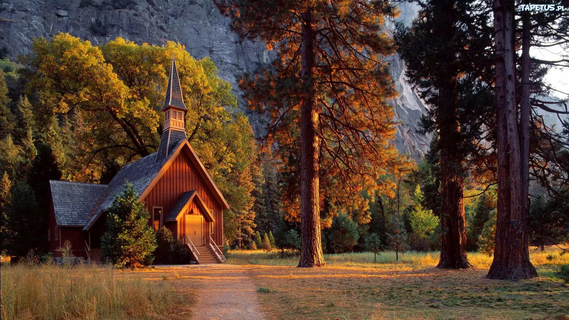 Stany Zjednoczone, Stan Kalifornia, Park Narodowy Yosemite, Kościółek Yosemite Valley Chapel, Drzewa