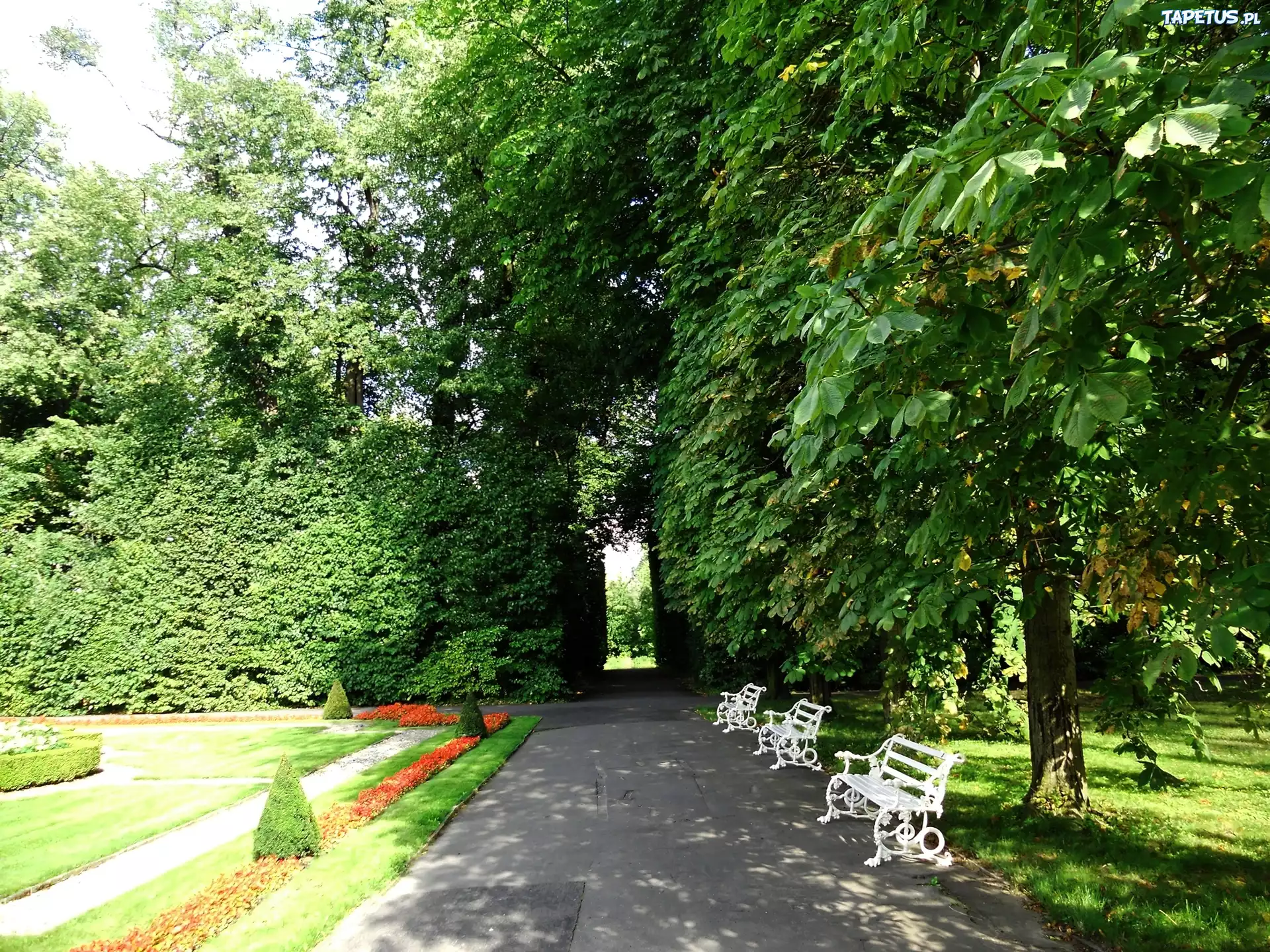 Park, Aleja, Ławki, Drzewa