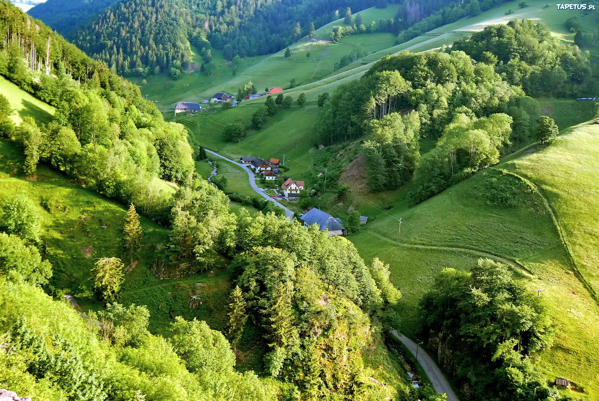 Droga, Drzewa, Góry, Doliny, Wioska Schwarzwald