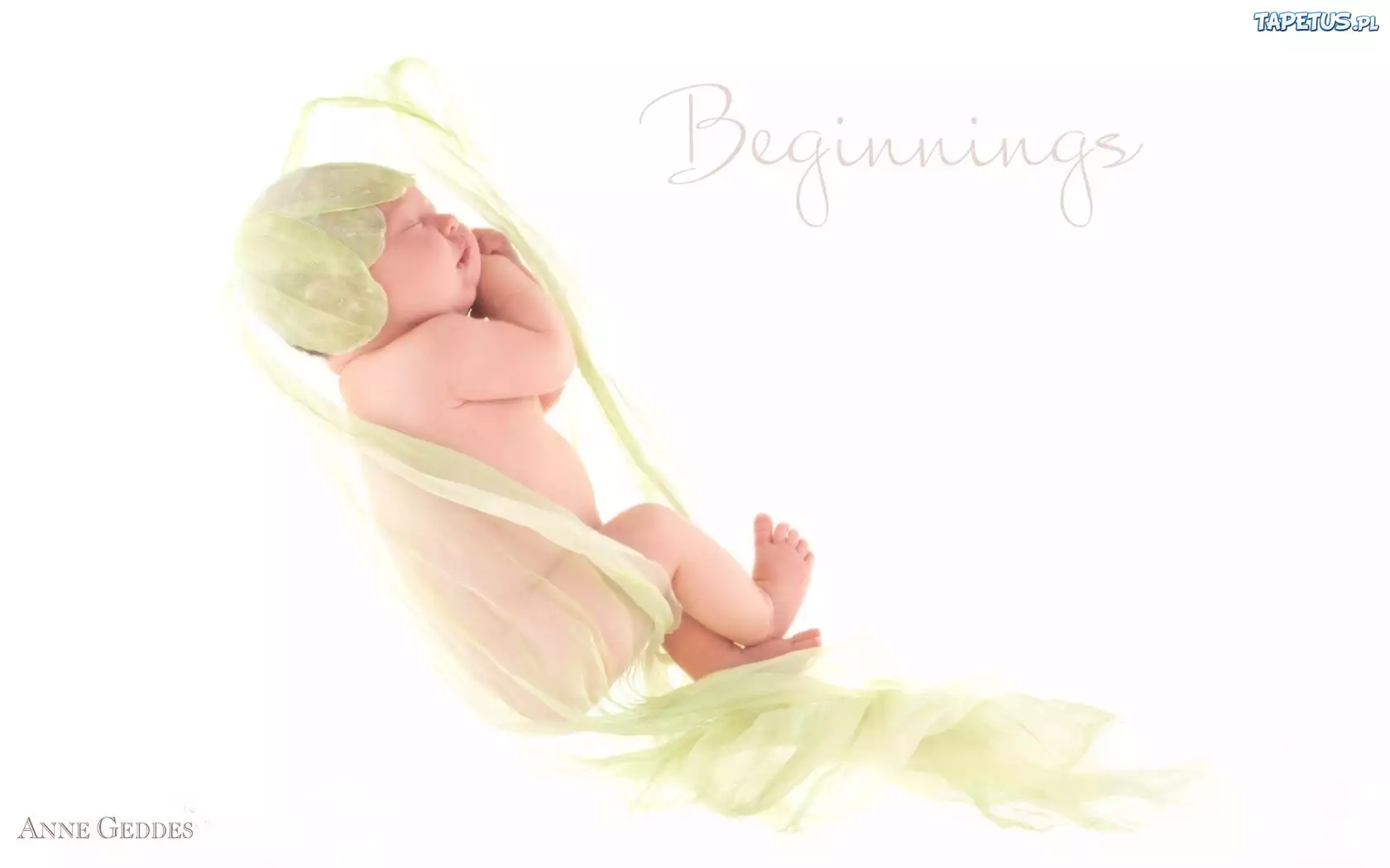 Małe, Śpiące, Dziecko, Praca, Anne Geddes
