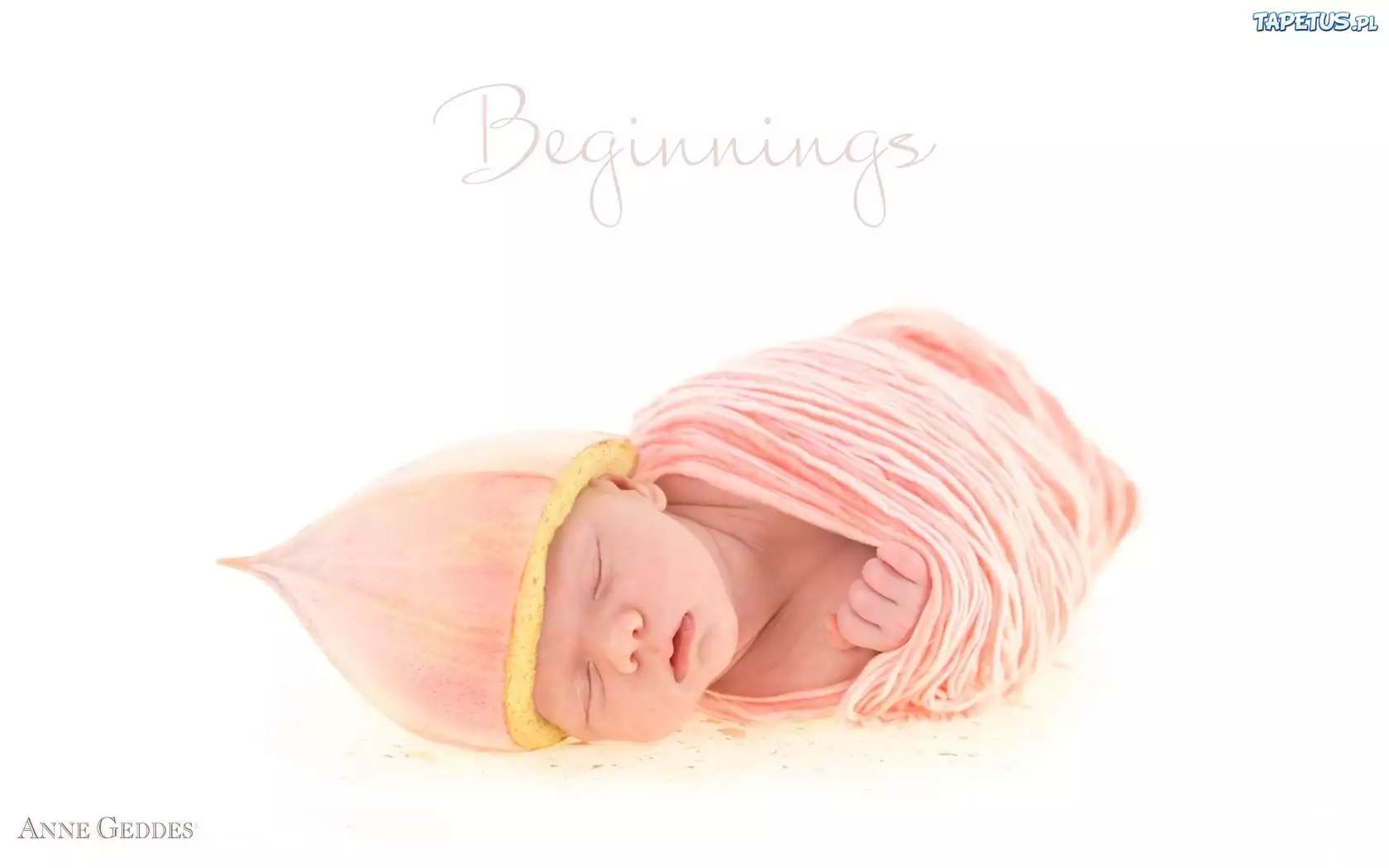 Małe, Śpiące, Niemowlę, Anne Geddes