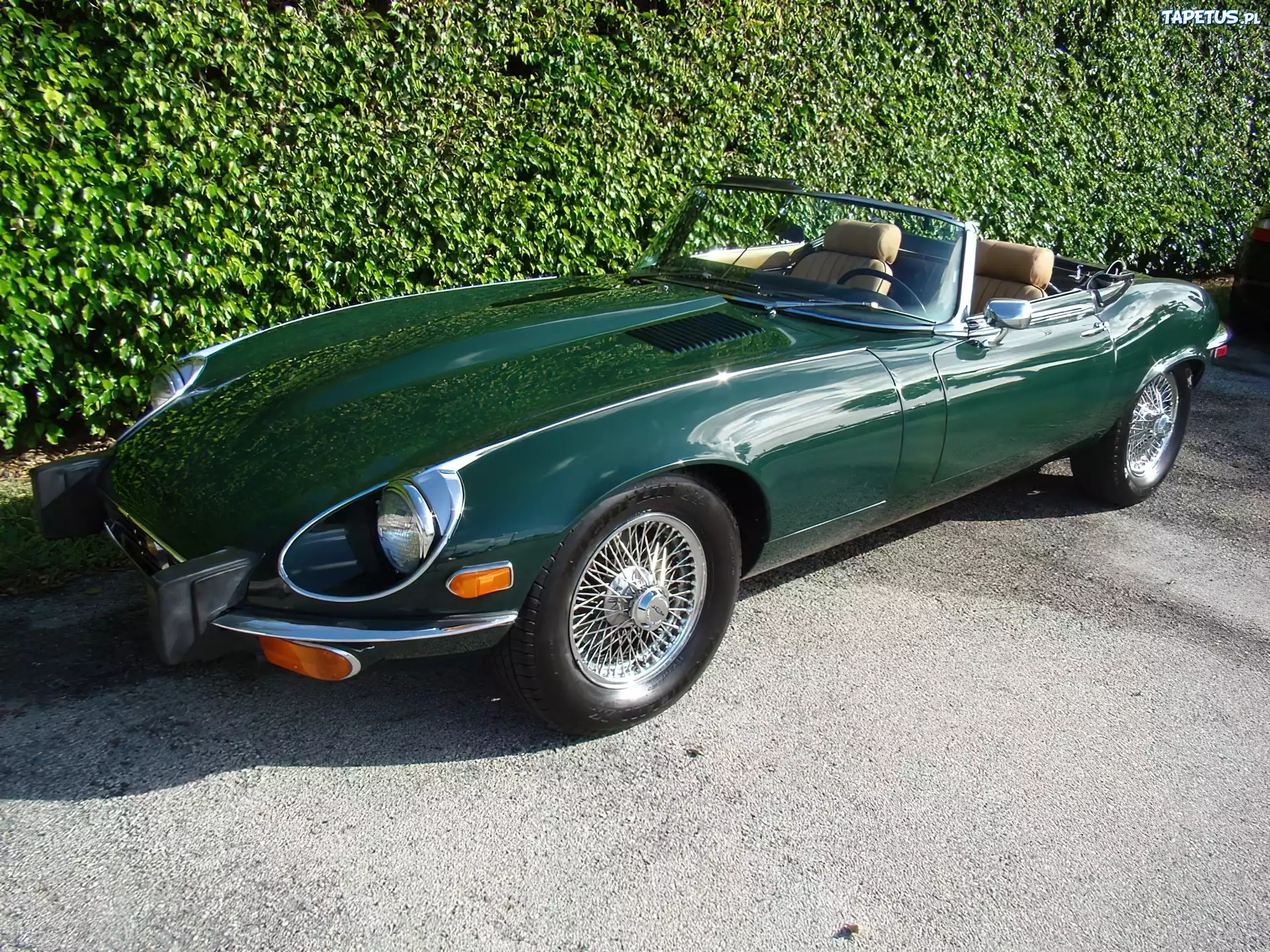 Kabriolet, Jaguar XKE