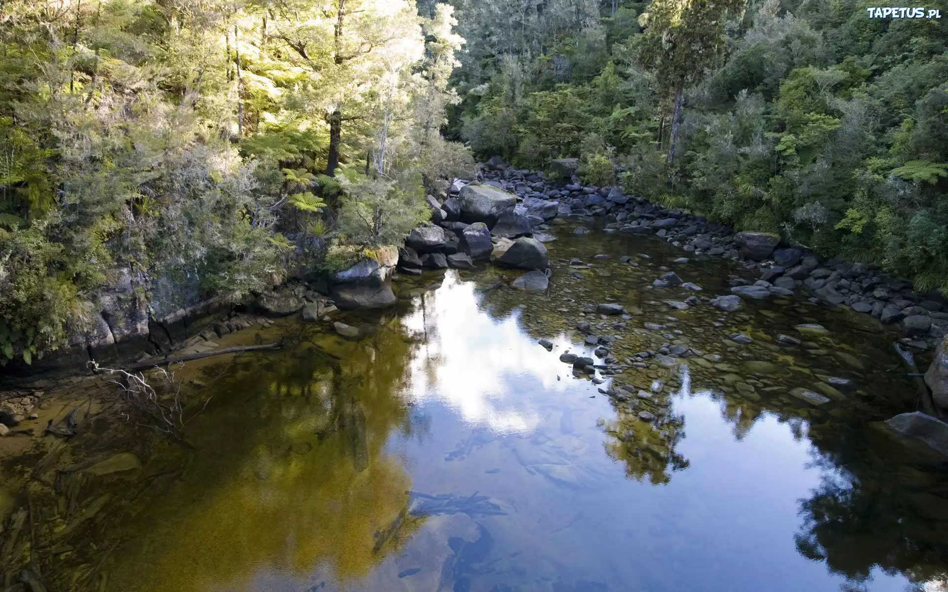 Rzeka, Kamienie, Las