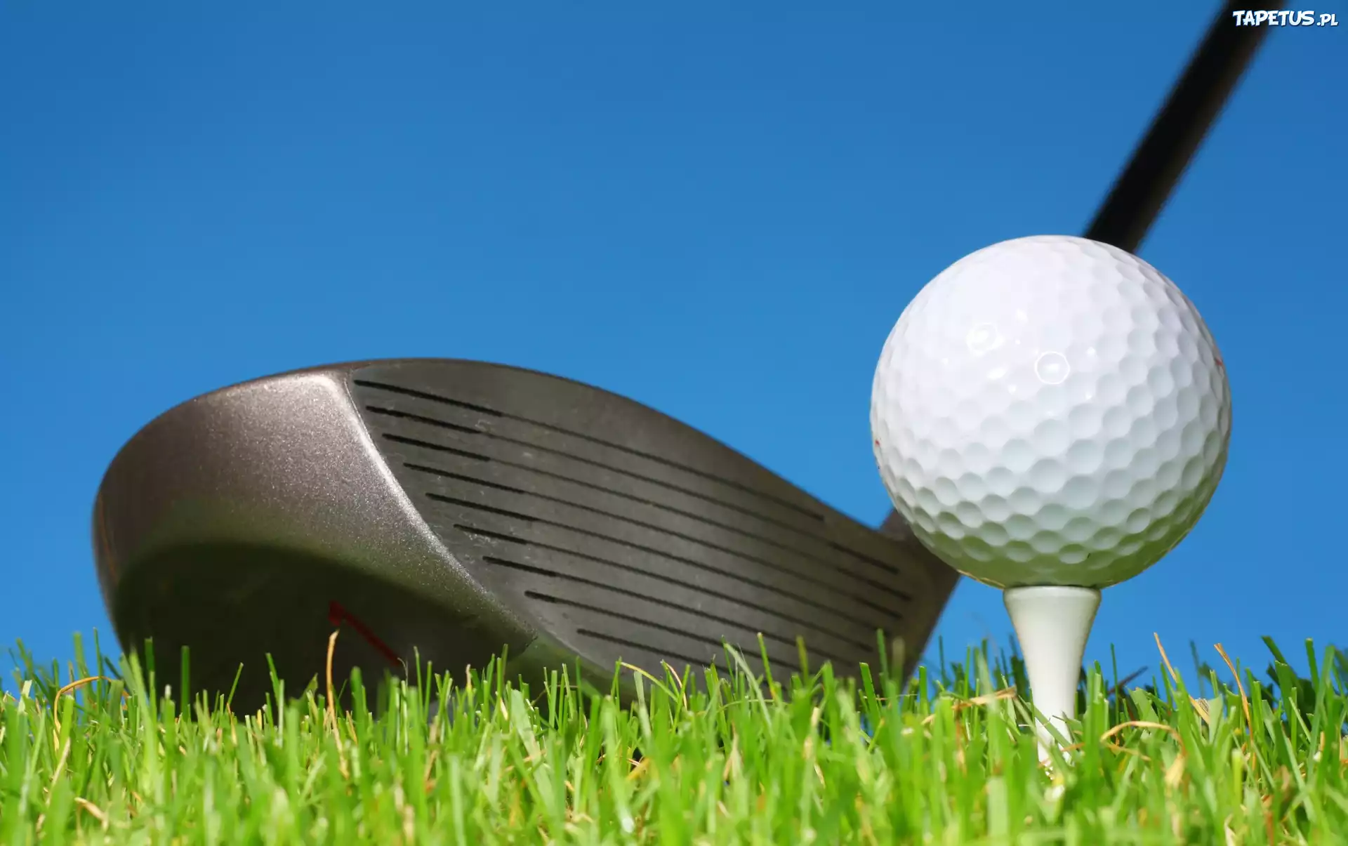 Golf, Kij, Piłka, Trawa