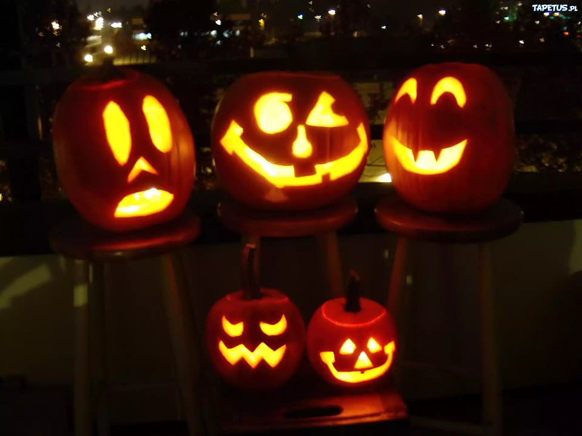 Halloween,dynie na krzesłach