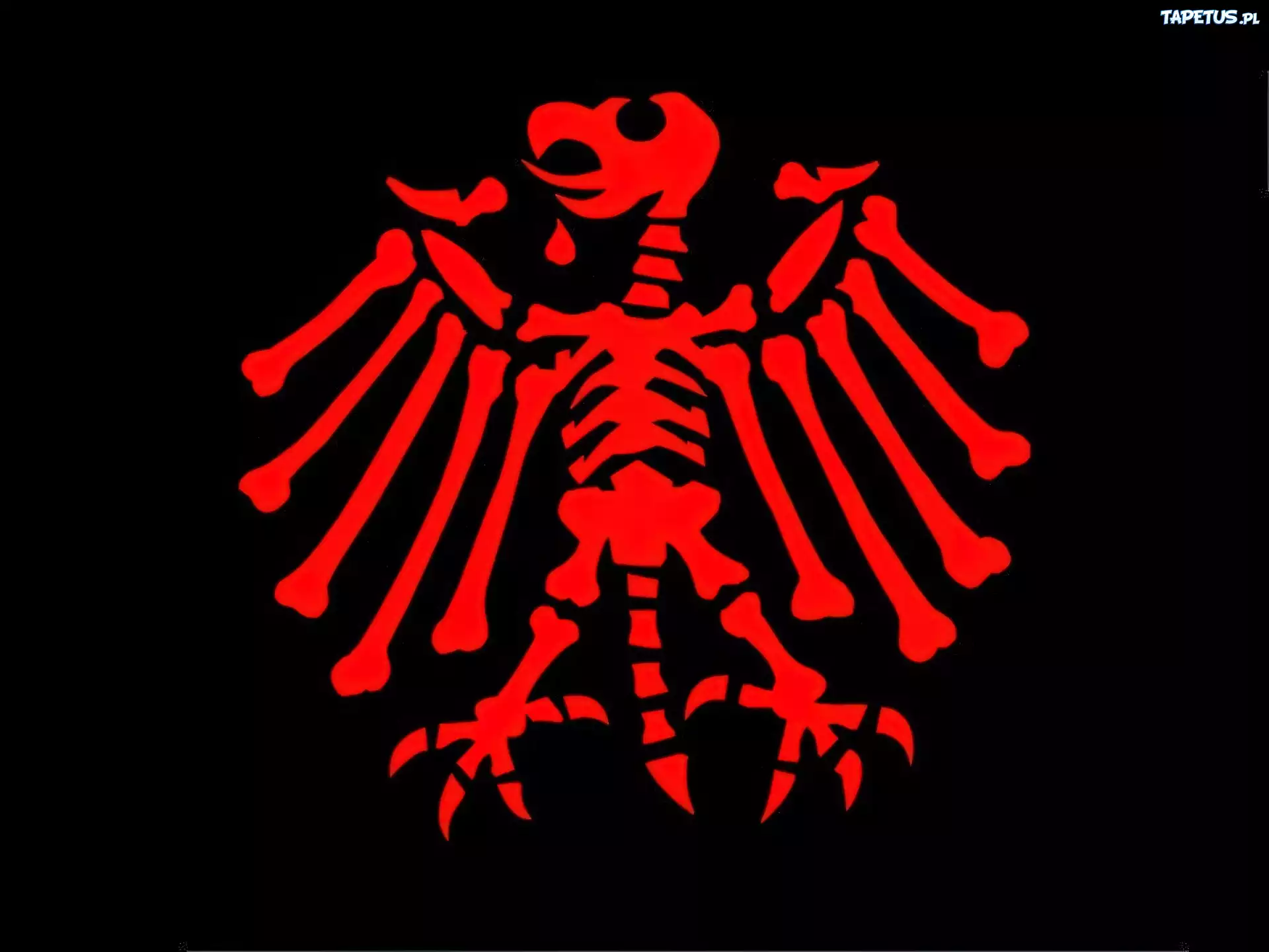 Die Toten Hosen,szkielet ptaka
