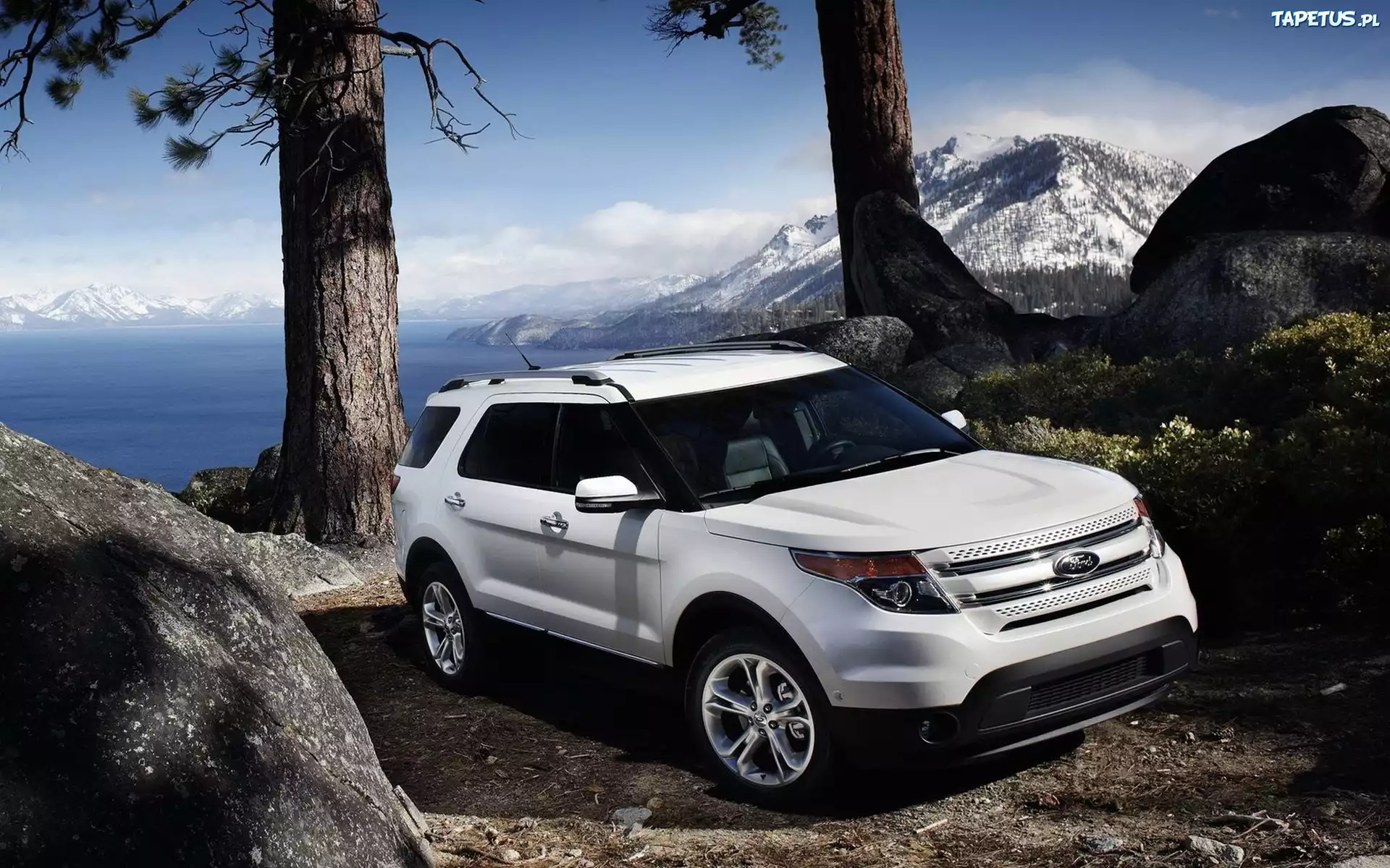 Ford Explorer, Góry, Skały, Drzewa
