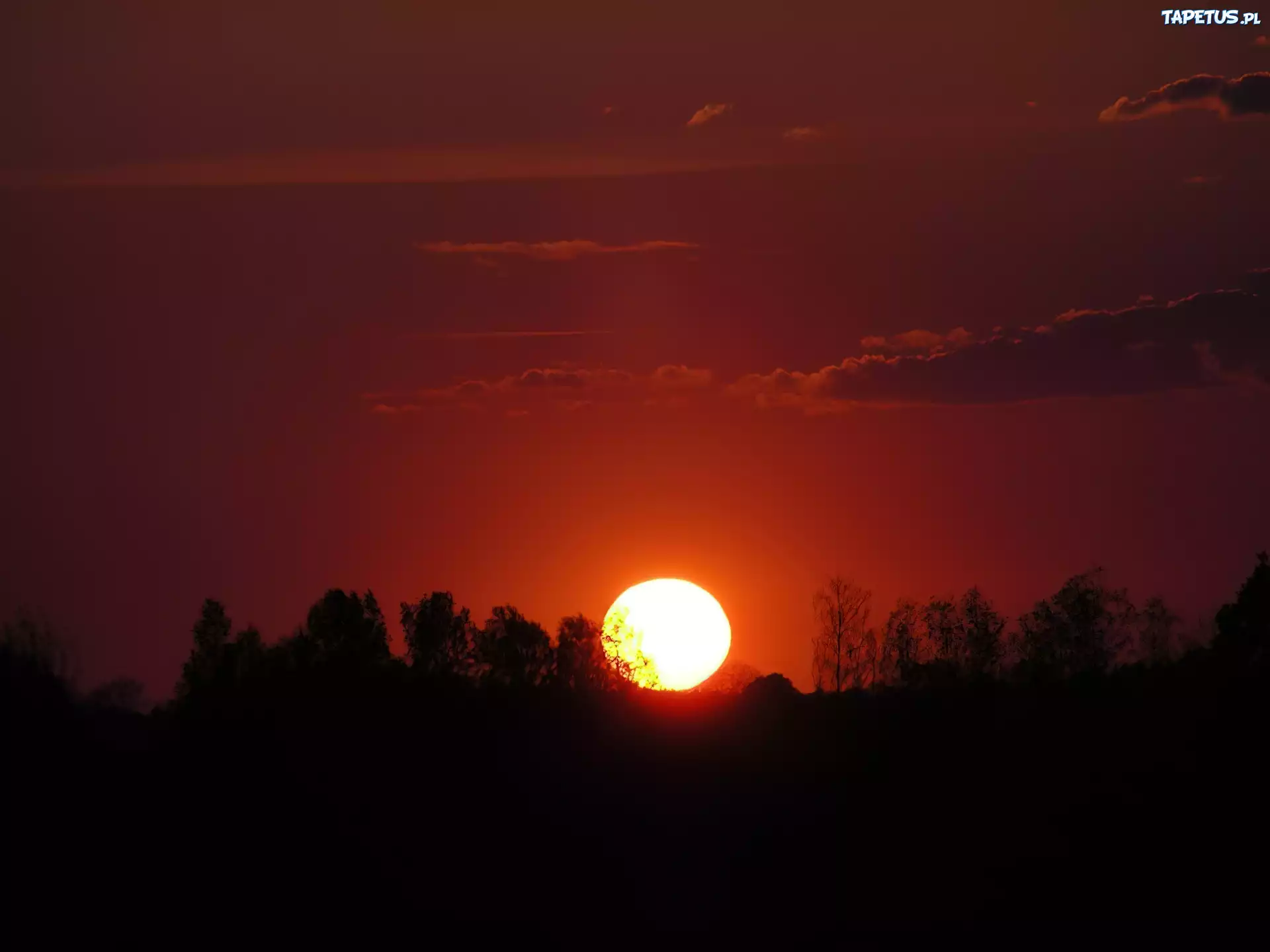 Zachodzące, Słońce, Drzewa, Niebo