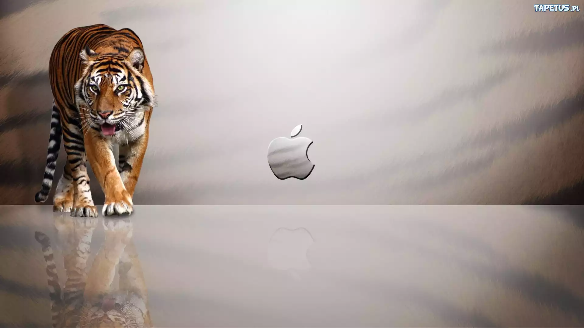 Tygrys, Logo, Apple