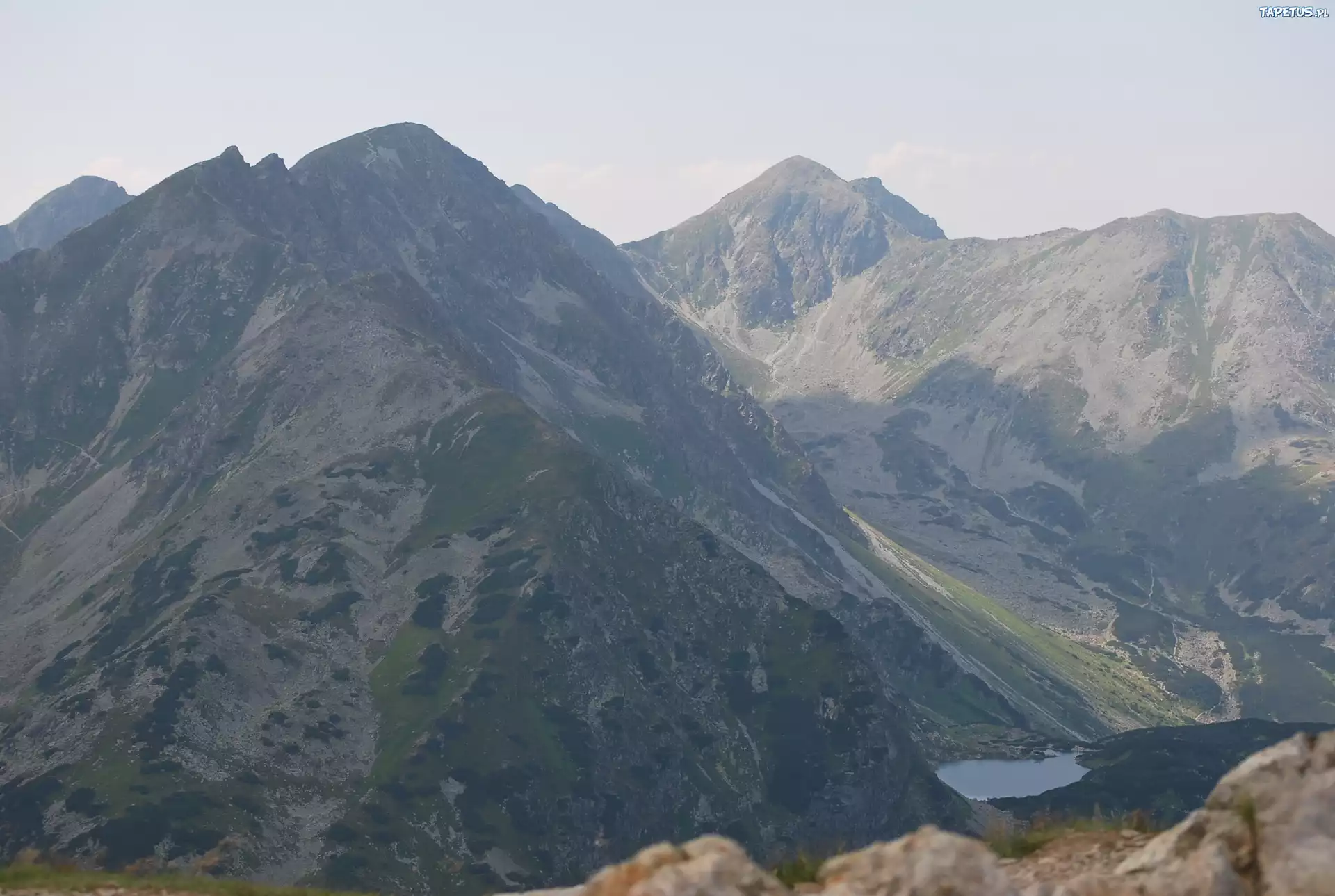Tatry, Słowackie, Góry, Wołowiec