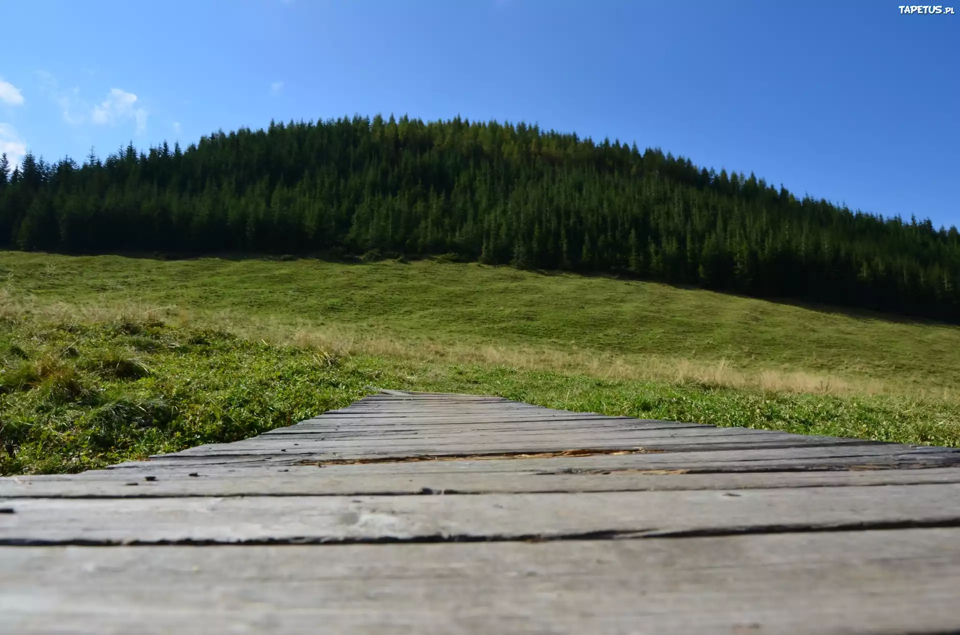 Zakopane, Łąka, Mostek, Drewniany