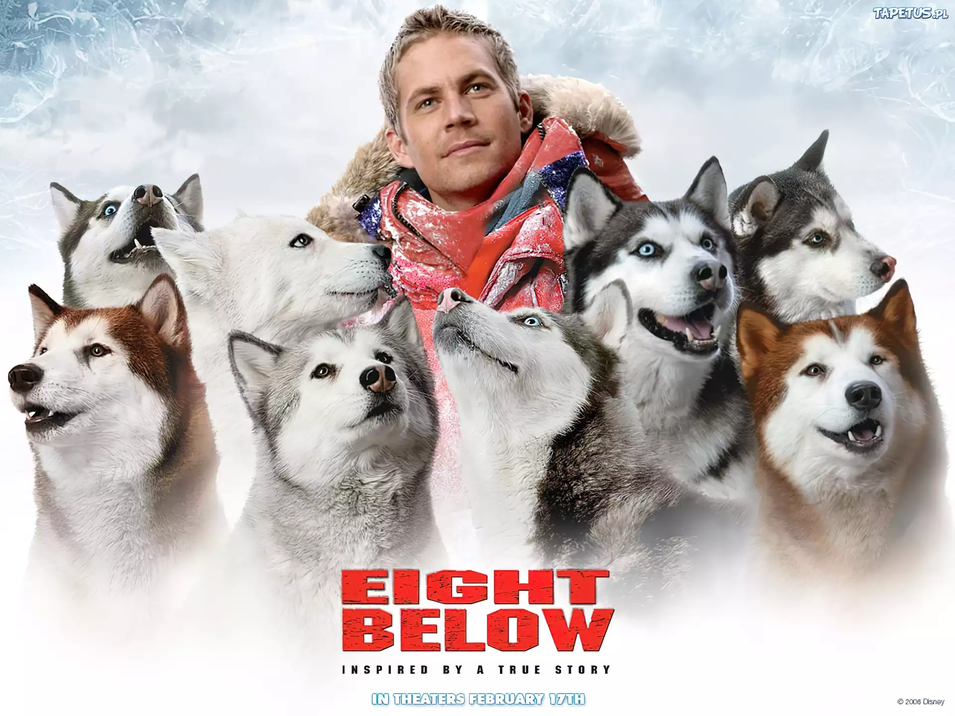 Eight Below, Paul Walker, psy