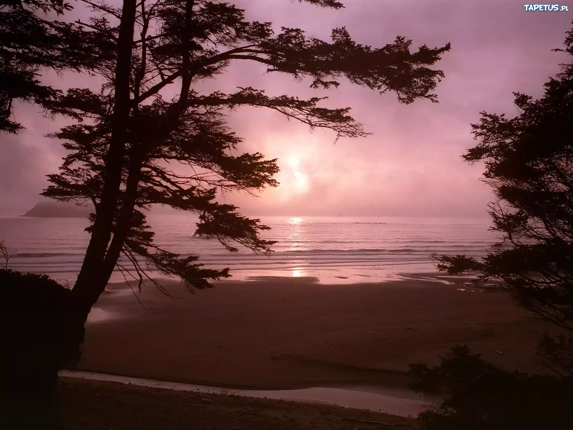 Zachód, Słońca, Jezioro, Plaża, Drzewa