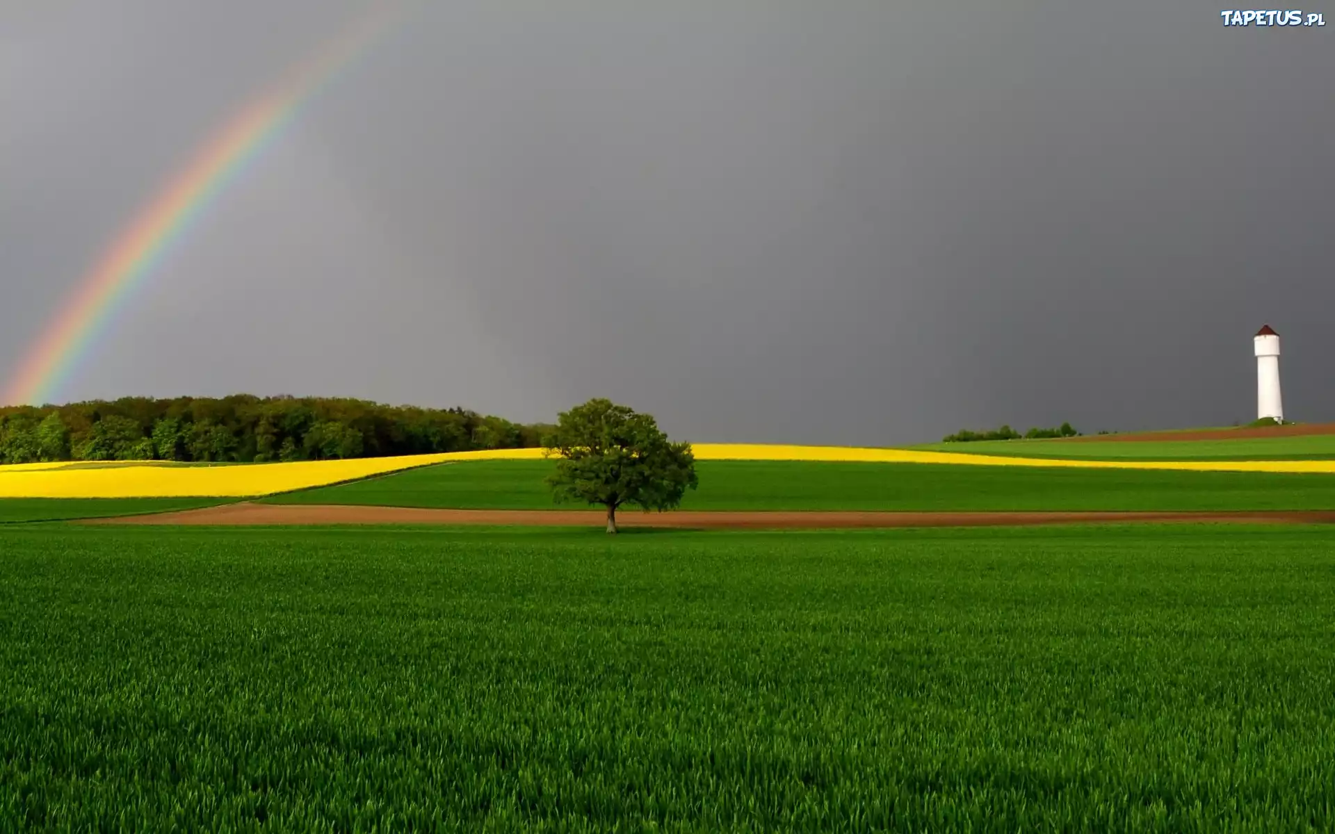 Pola, Tęcza, Drzewo, Wieża