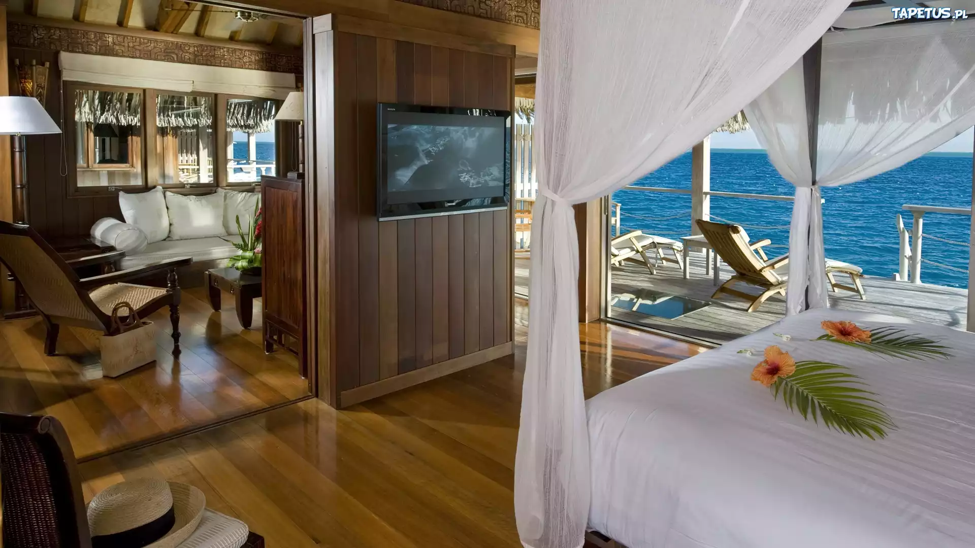 Pokój, Hotelowy, Taras, Ocean