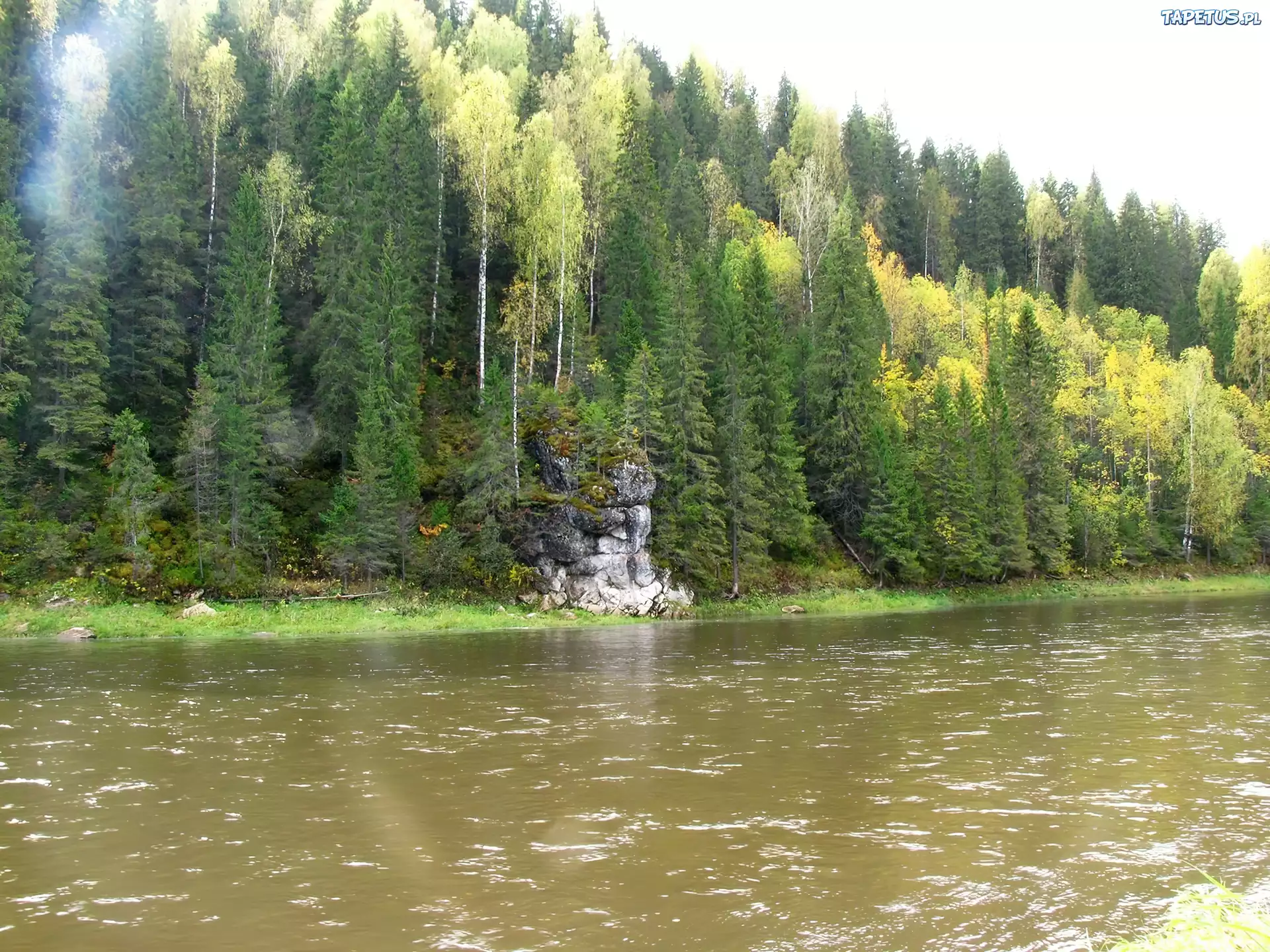 Rzeka, Góry, Las, Skały