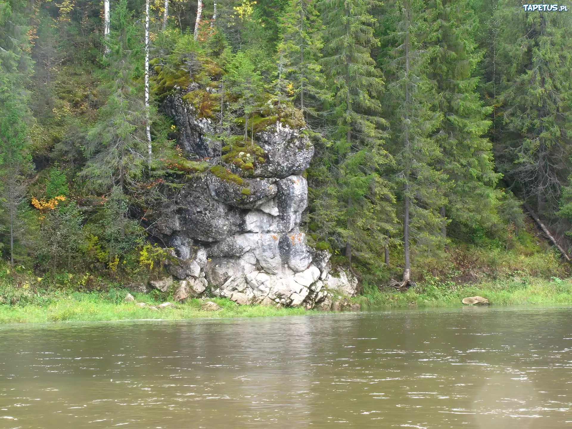 Rzeka, Skały, Las