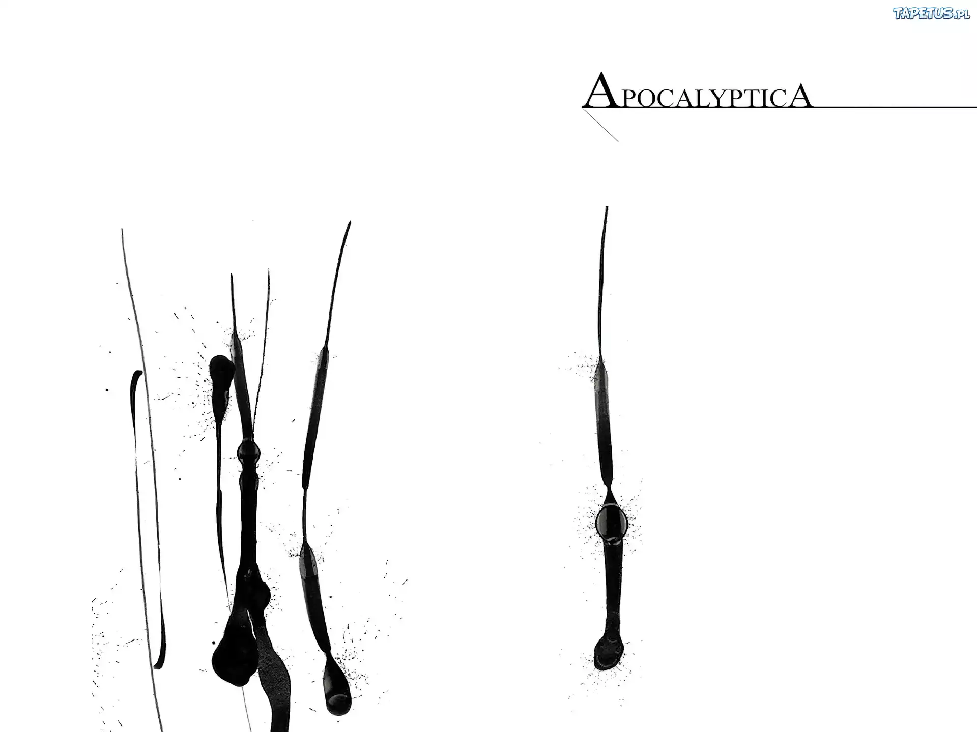 Apocalyptica,pałeczki
