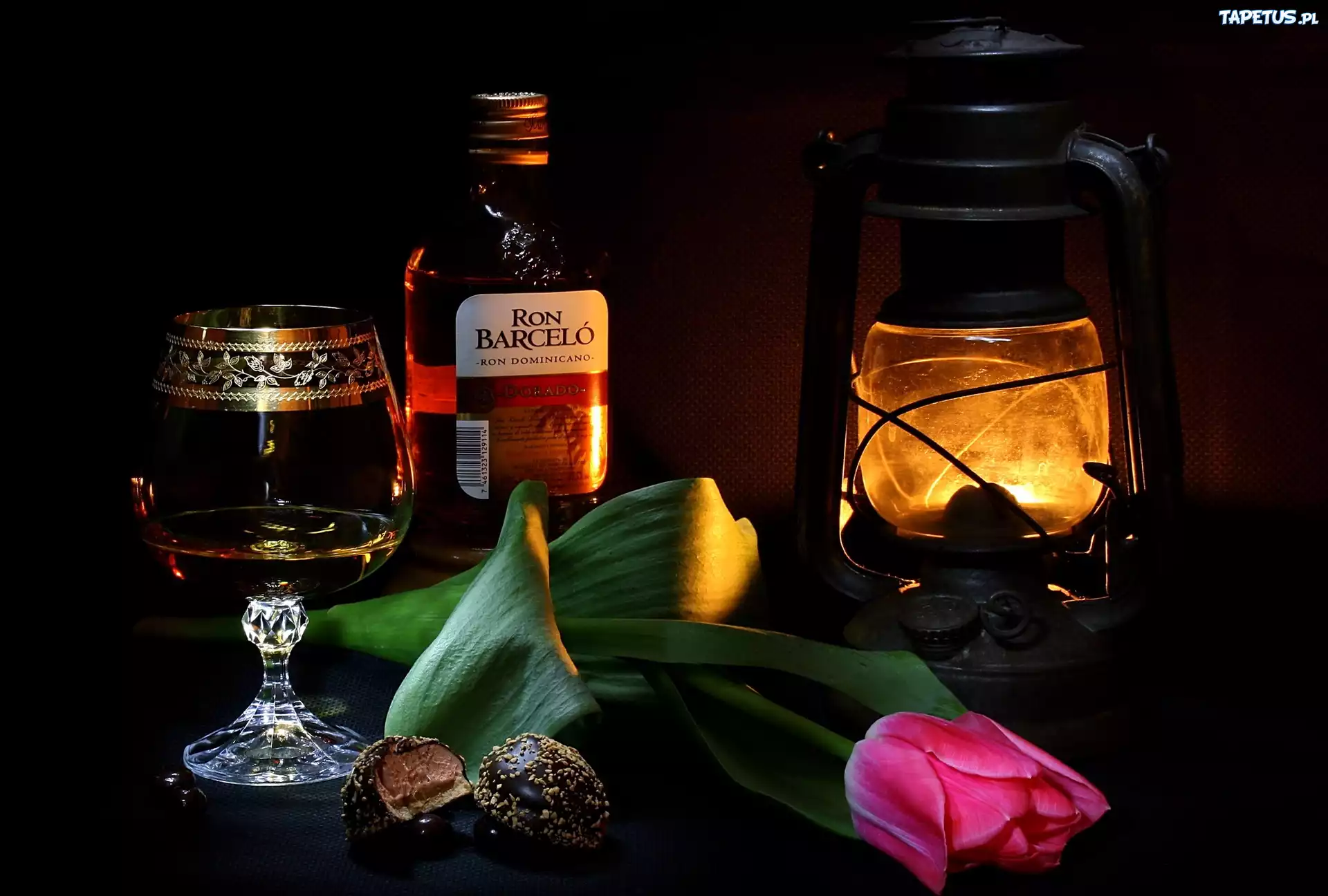 Kompozycja, Alkohol, Lampa, Tulipan