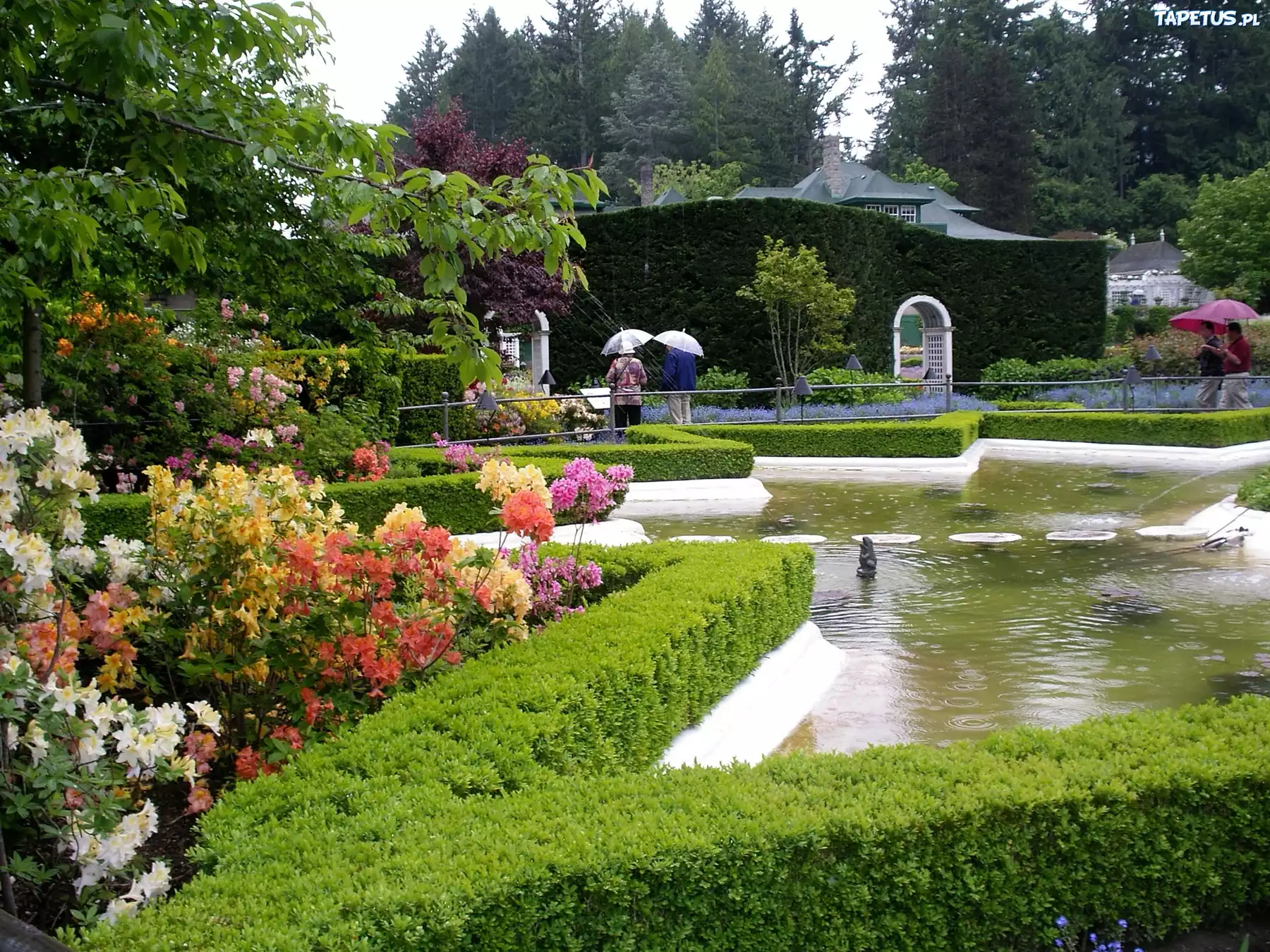 Piękny, Park