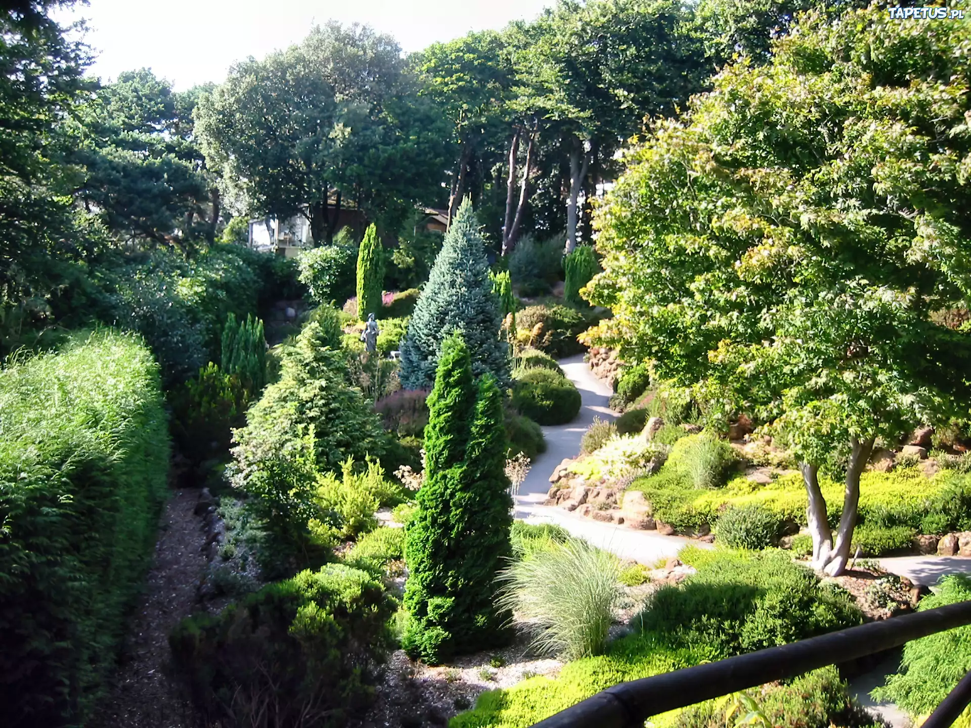 Park, Alejki, Iglaki, Zieleń