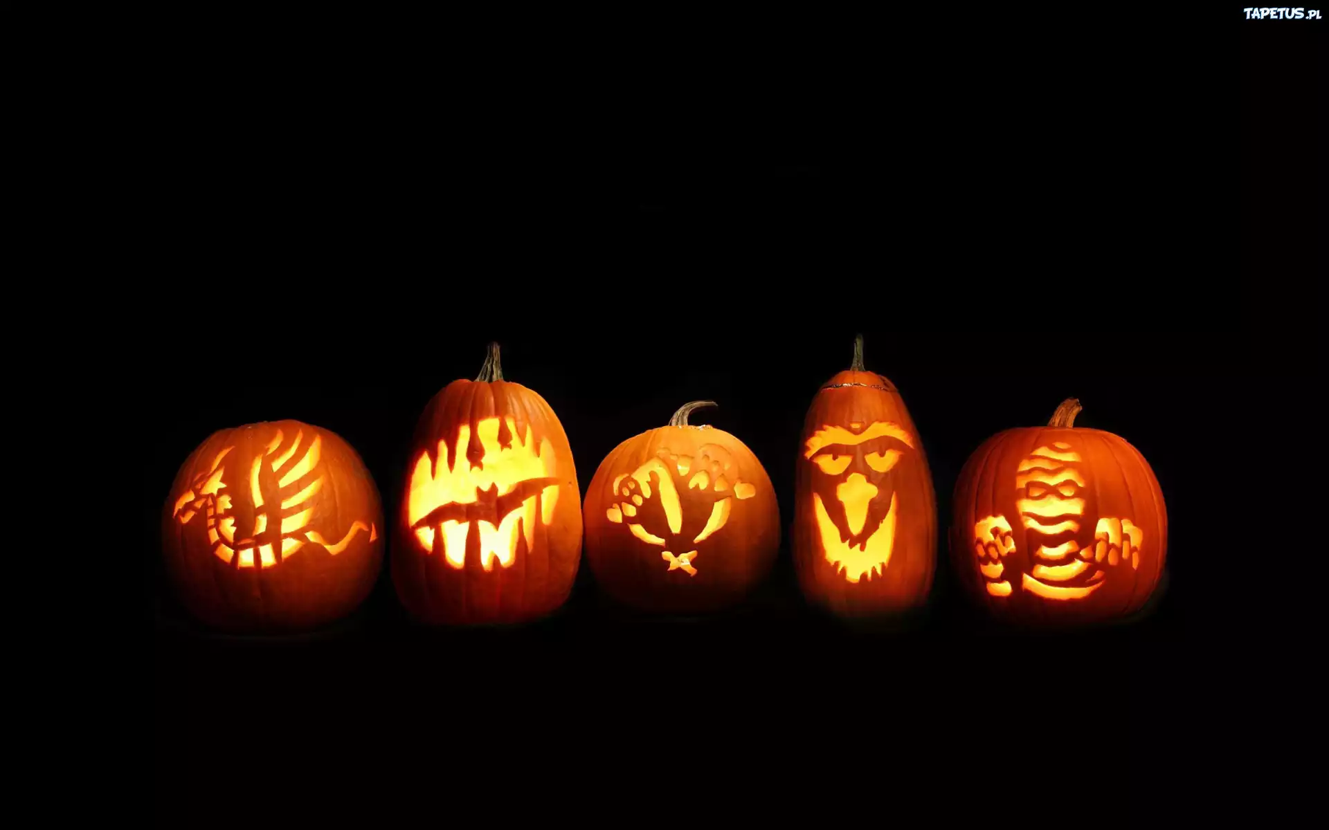 Podświetlone, Dynie, Halloween