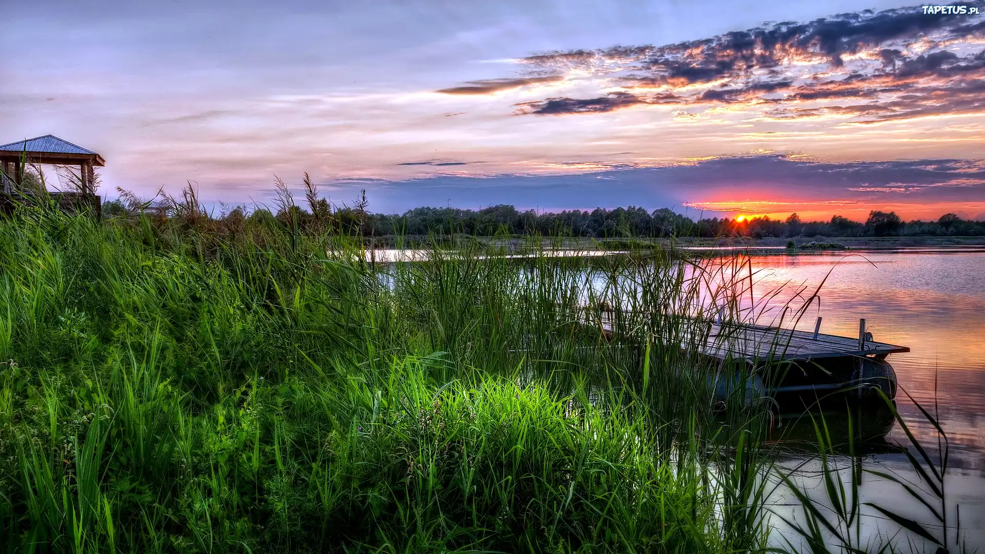 Szuwary, Jezioro, Zachód, Słońca