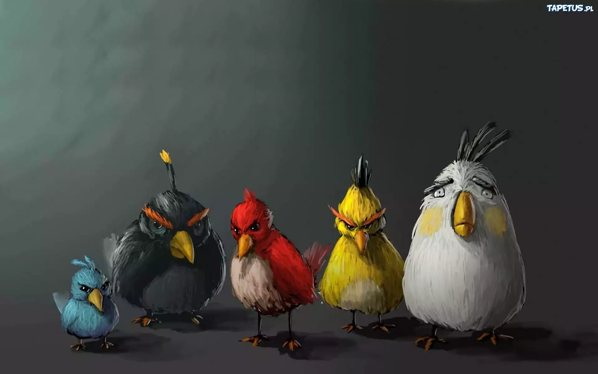 Angry birds, Ptaki