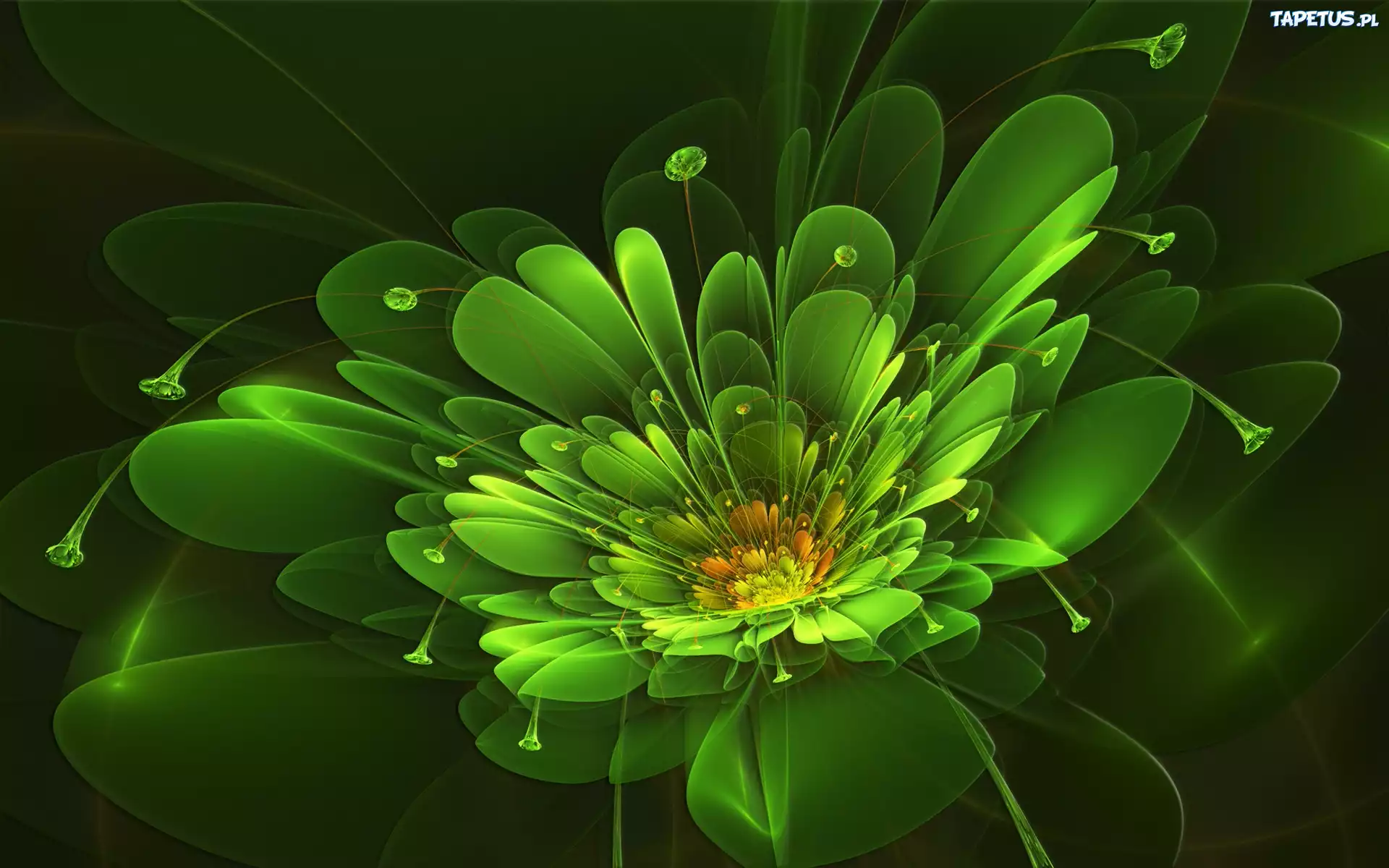 Zielony, Kwiat, 3D, Fraktal