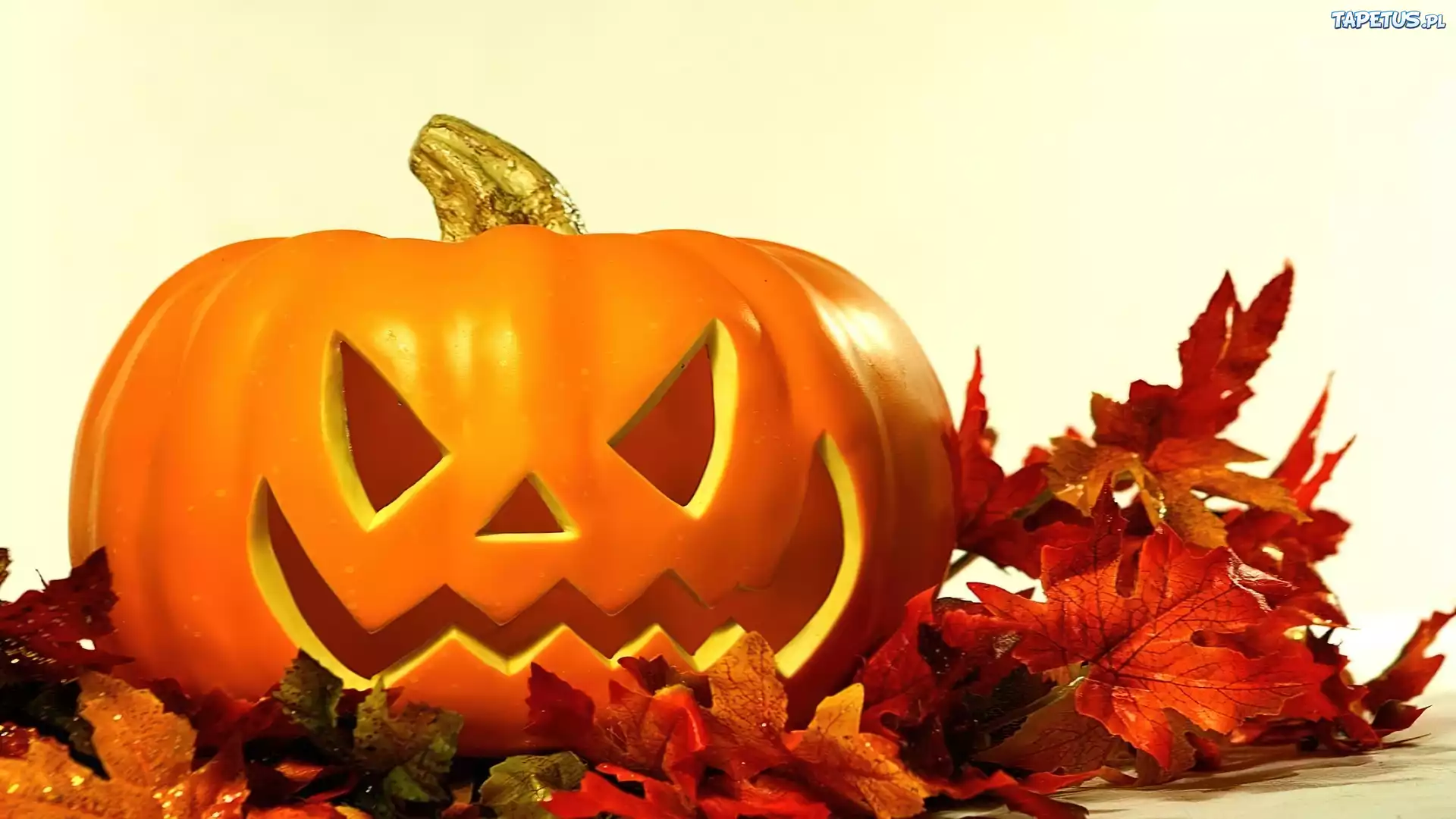 Dynia, Liście, Halloween