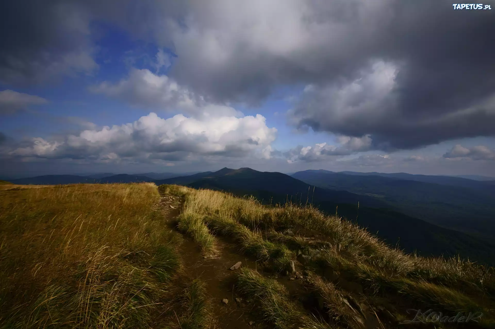 Bieszczady, Góry, Trawa, Chmury