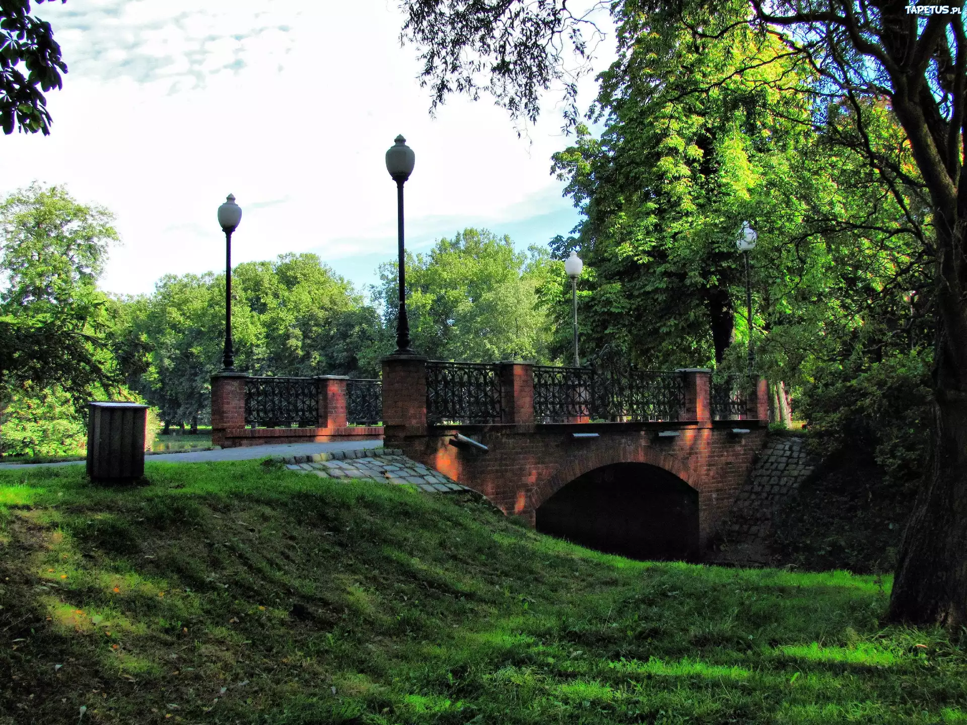Park, Mostek, Drzewa
