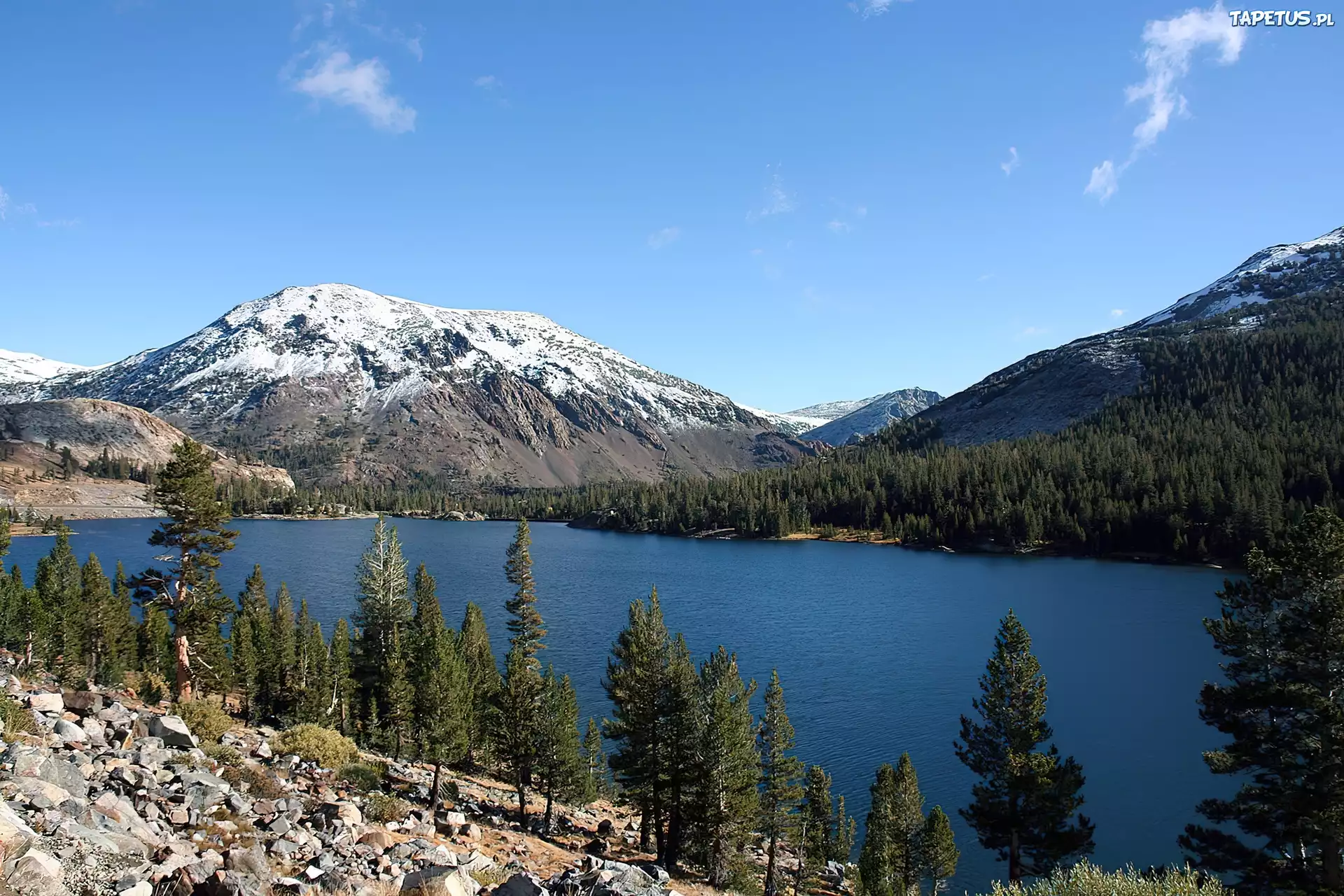 Jezioro, Drzewa, Góry, Yosemite, Kalifornia