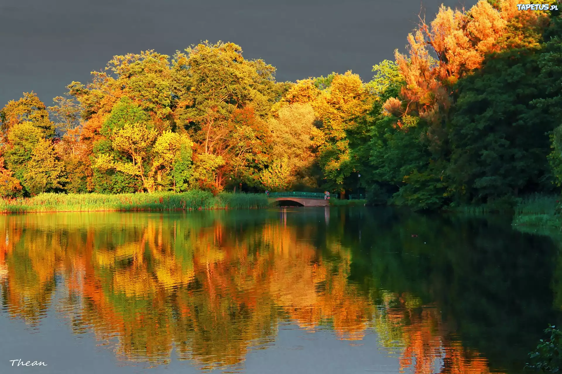 Jezioro, Drzewa, Mostek, Odbicie