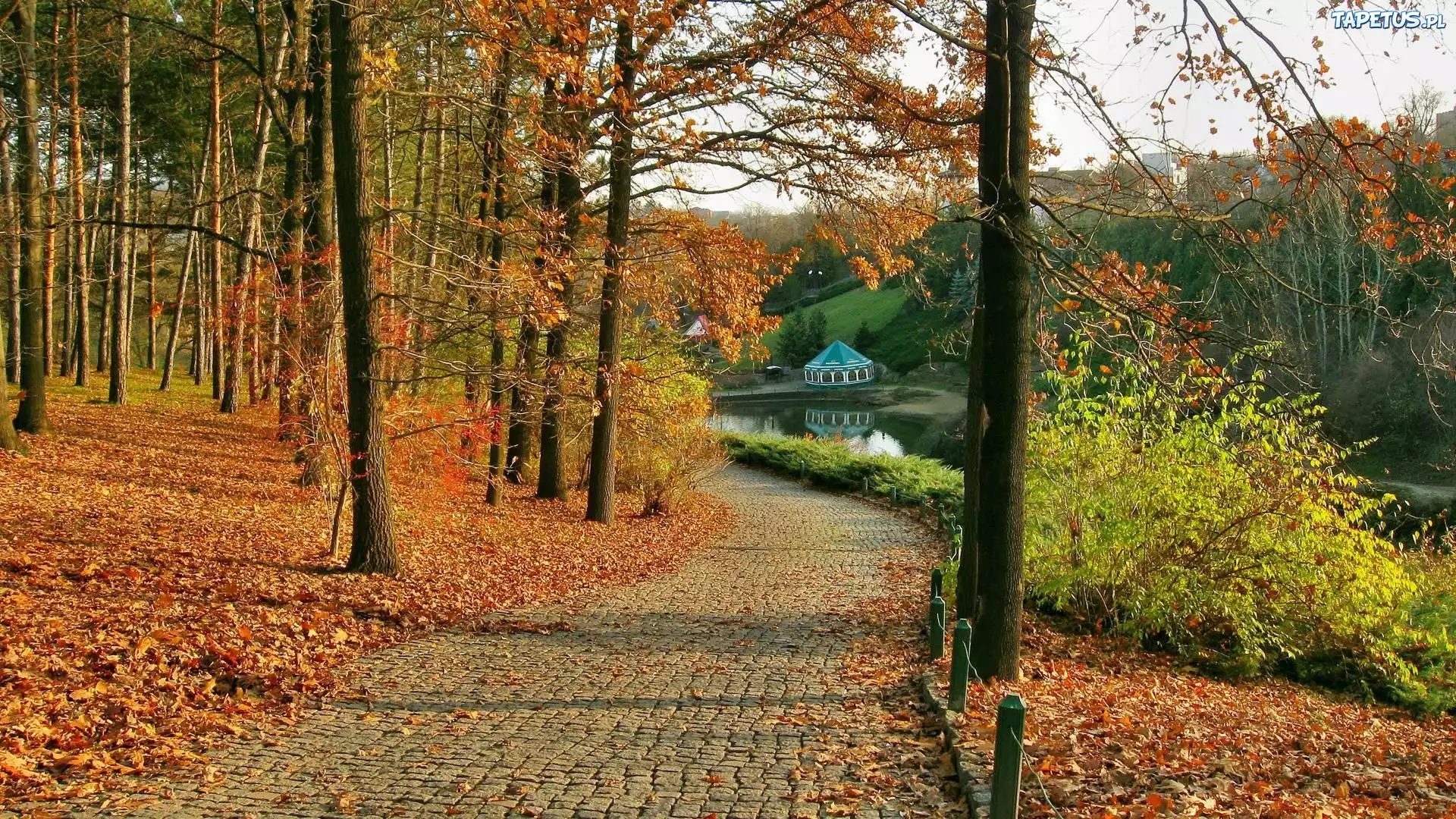 Park, Jesień, Drzewa, Liście, Droga