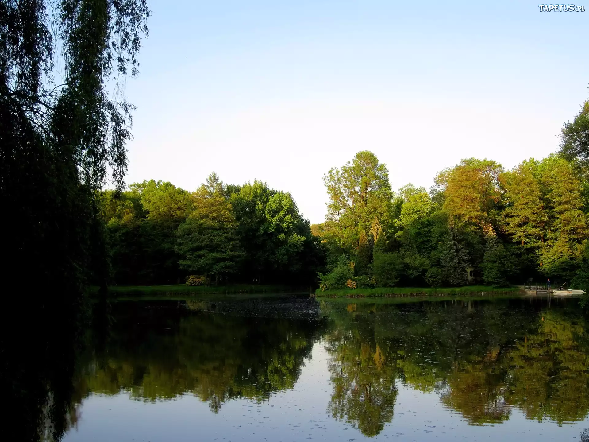Wiosna, Jezioro, Drzewa